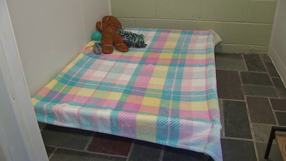 Monroe County animal shelter opens 'Winston's Rescue Room' to help pet owners facing short-term hospital stays