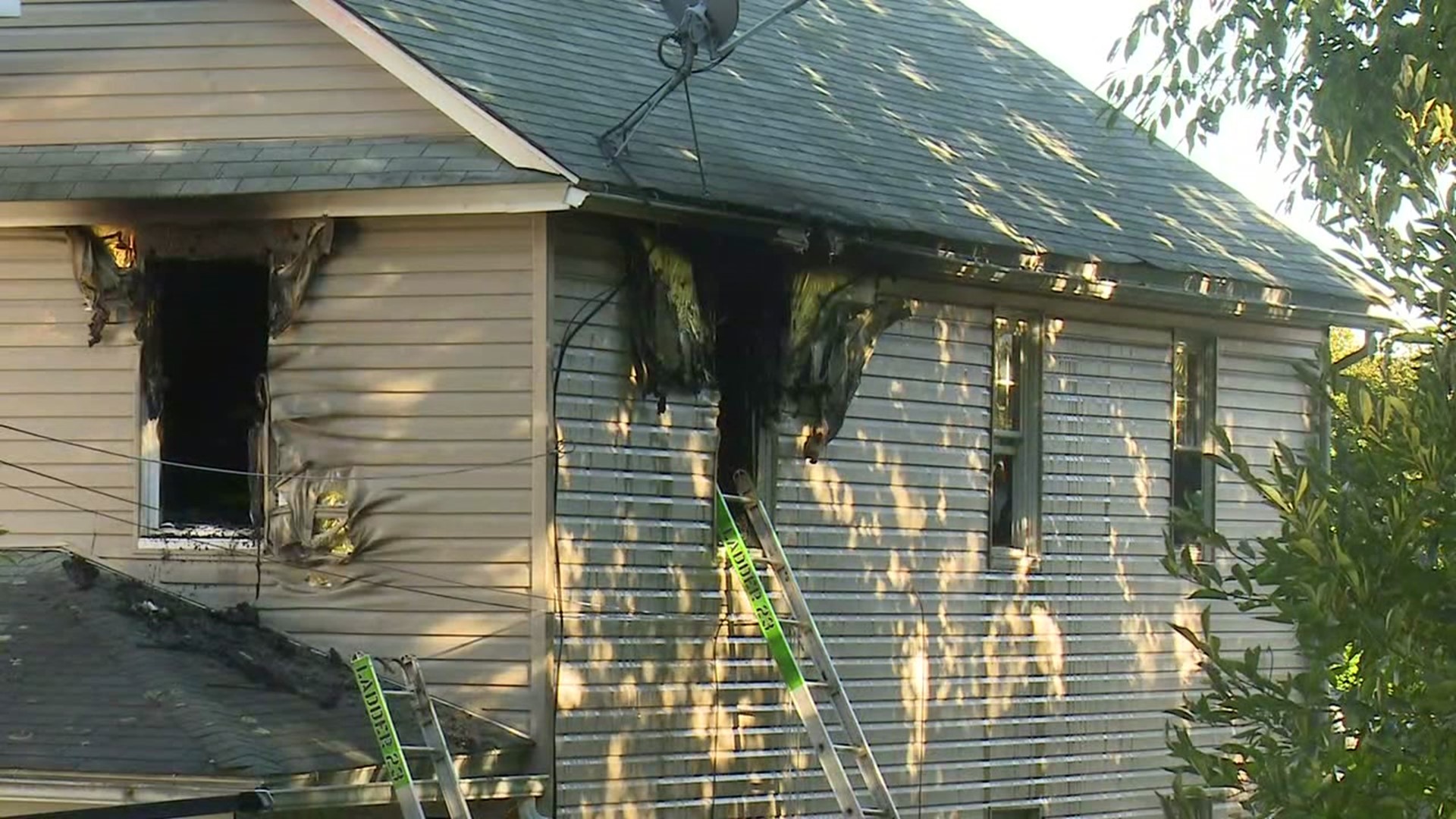 Fire officials said that 3 pets died in the flames.