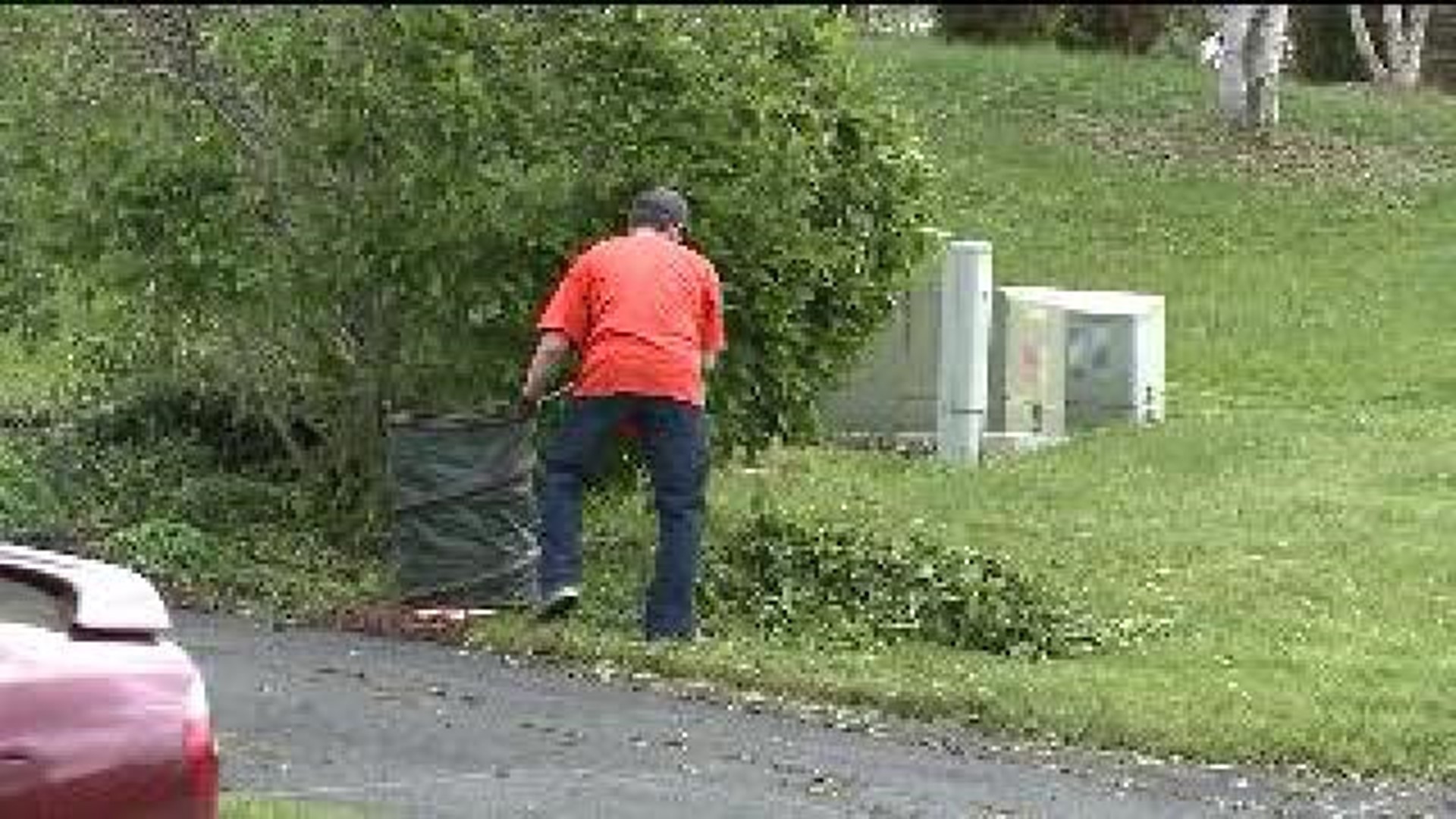 Danville Cleans Up After Hail Storm