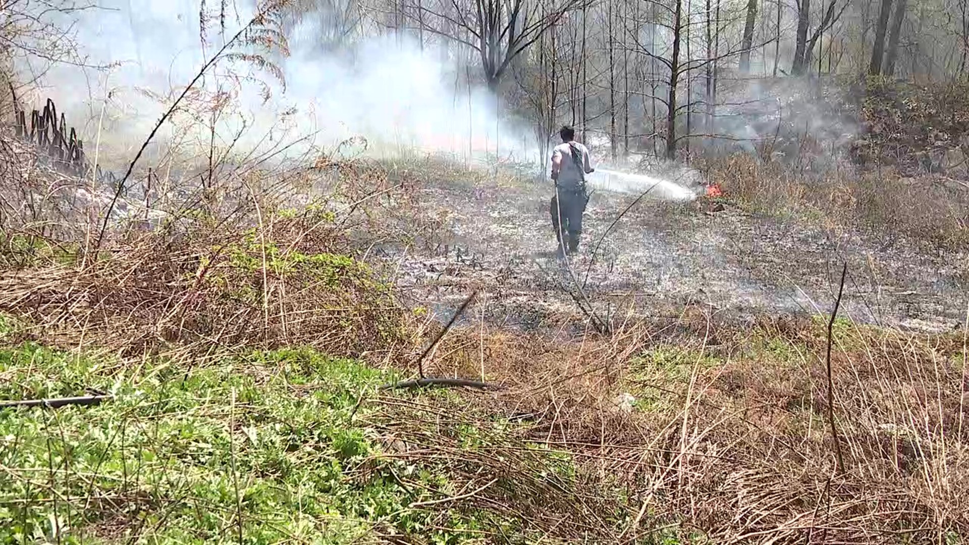 A wooded area off North Main Street in Taylor caught fire Tuesday morning.