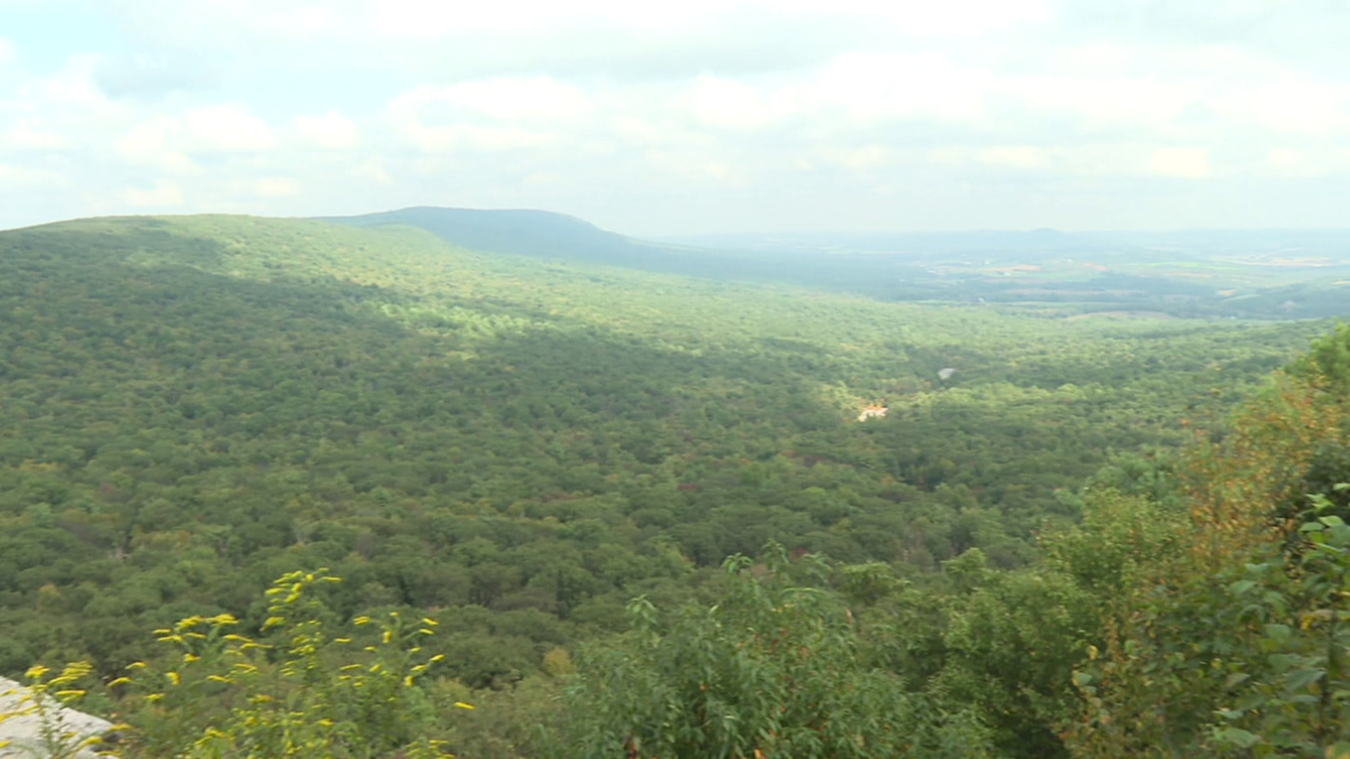 Hawk Mountain Sanctuary near Orwigsburg is seeing more visitors than ever.
