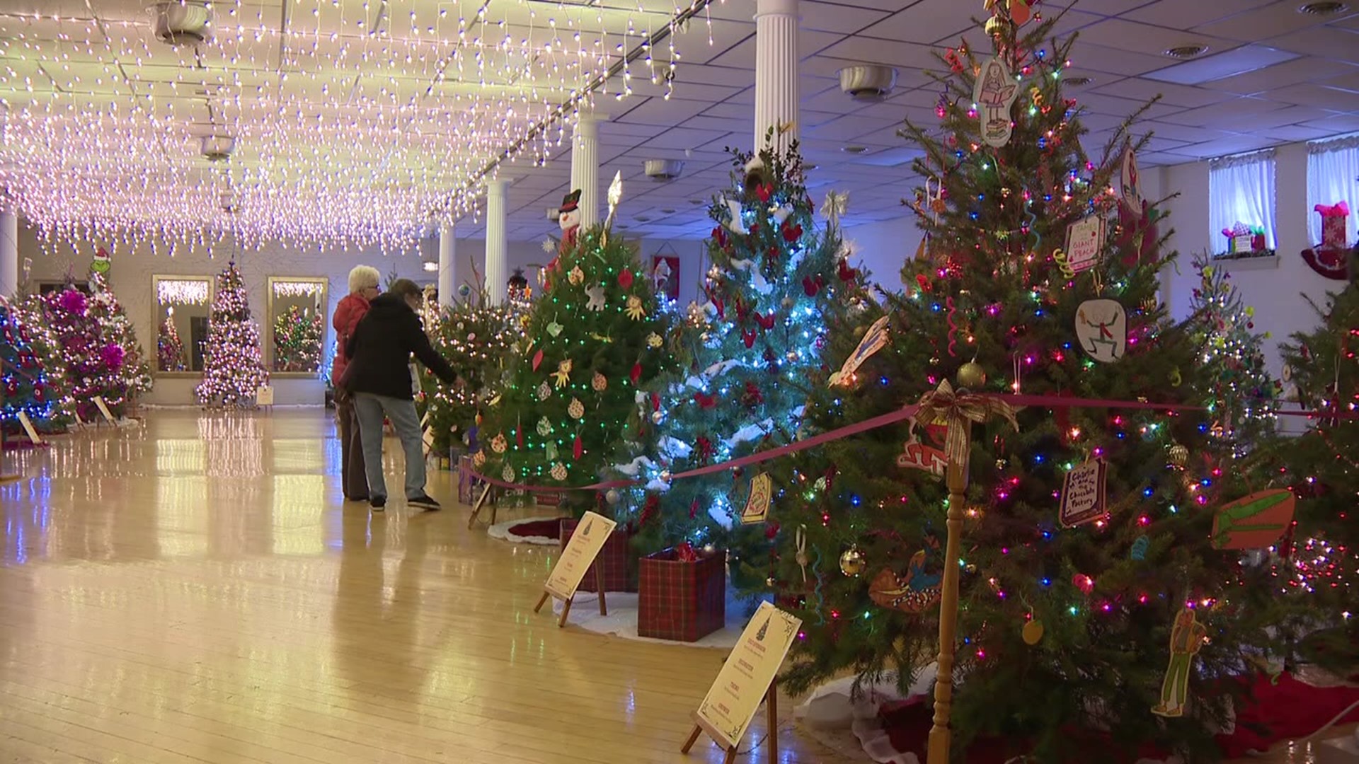 If you enjoy seeing Christmas trees, you may want to take a trip to Bloomsburg in the coming days for TreeFest.