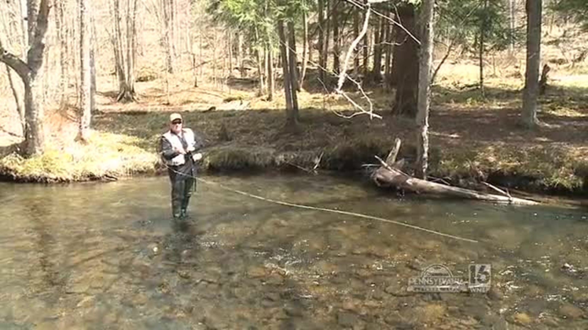 Dyberry Creek Trout Fishing