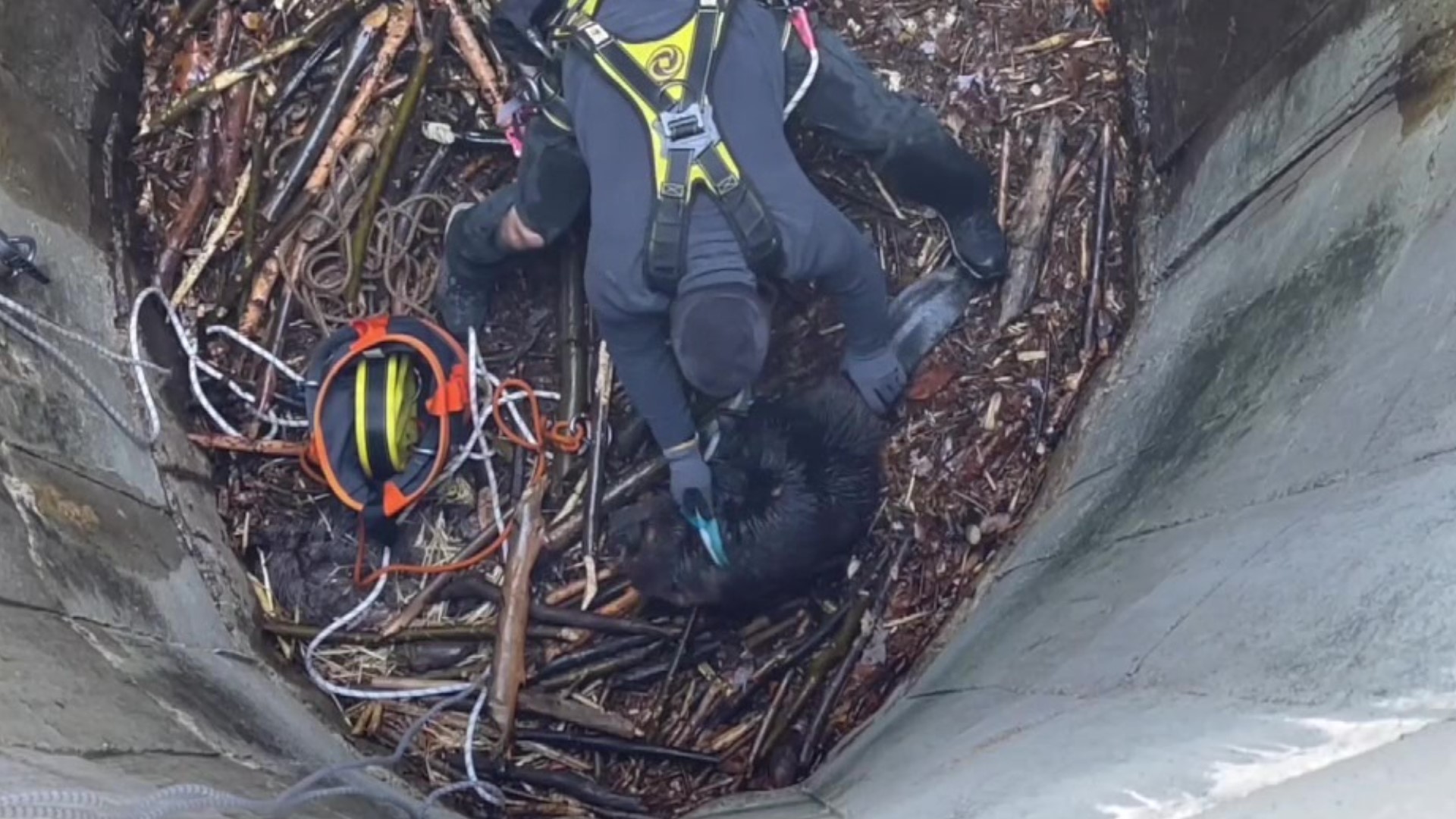 A rescue at the Campbell's Ledge Reservoir was caught on camera by Newswatch 16's Wyoming Valley news crew.