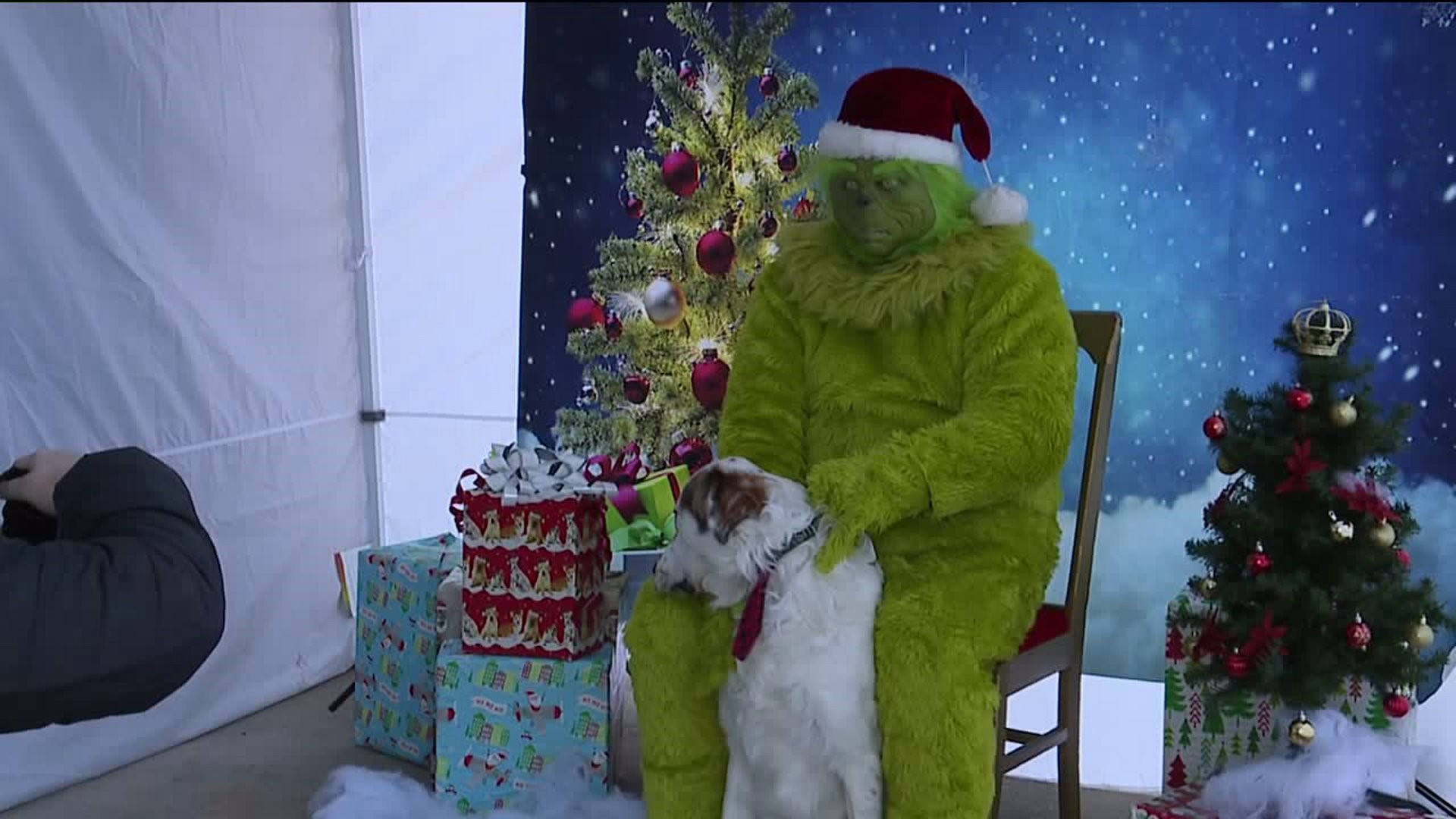 Pictures With the Grinch