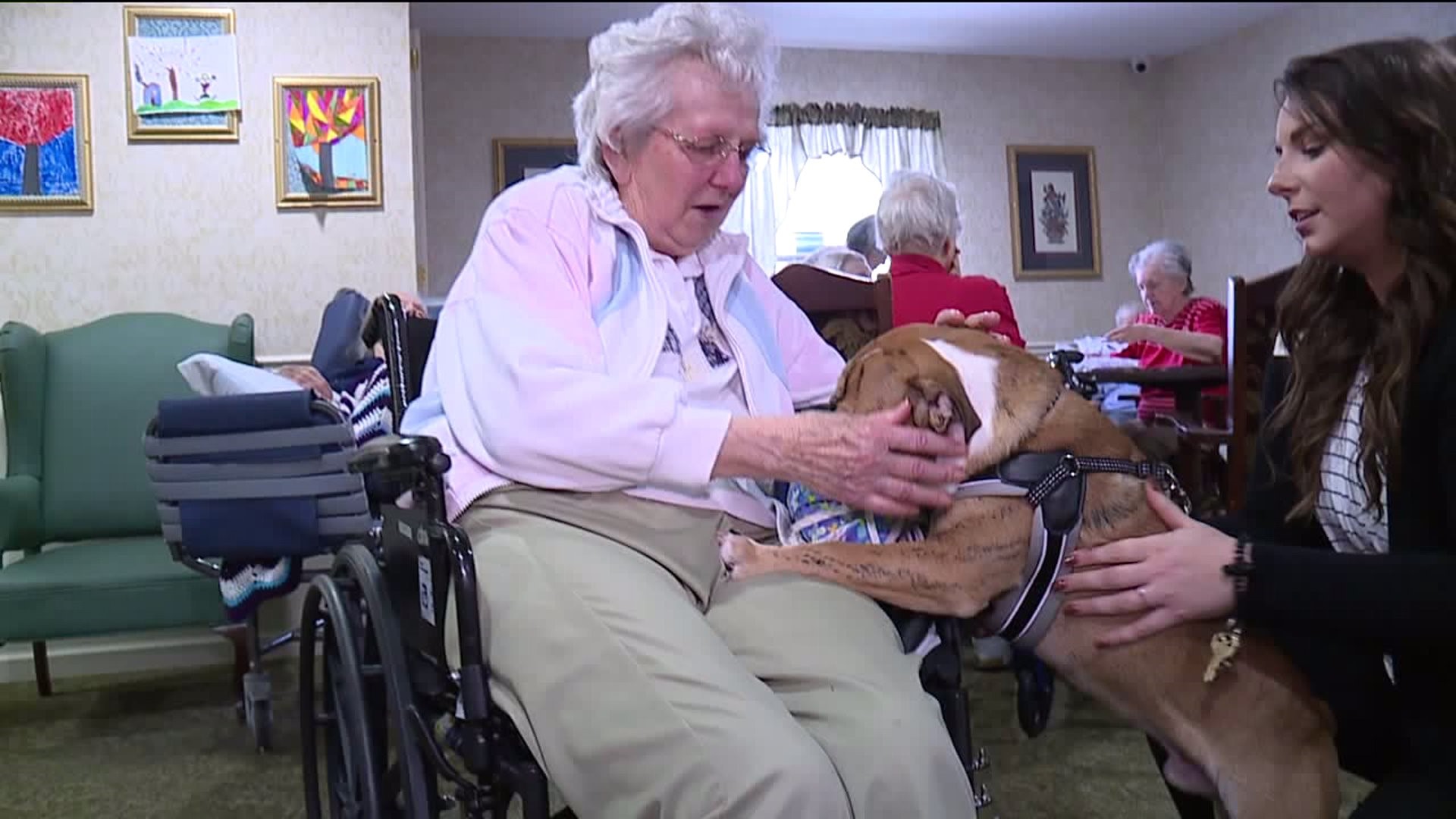 A Dog's Dose of Happiness for Seniors