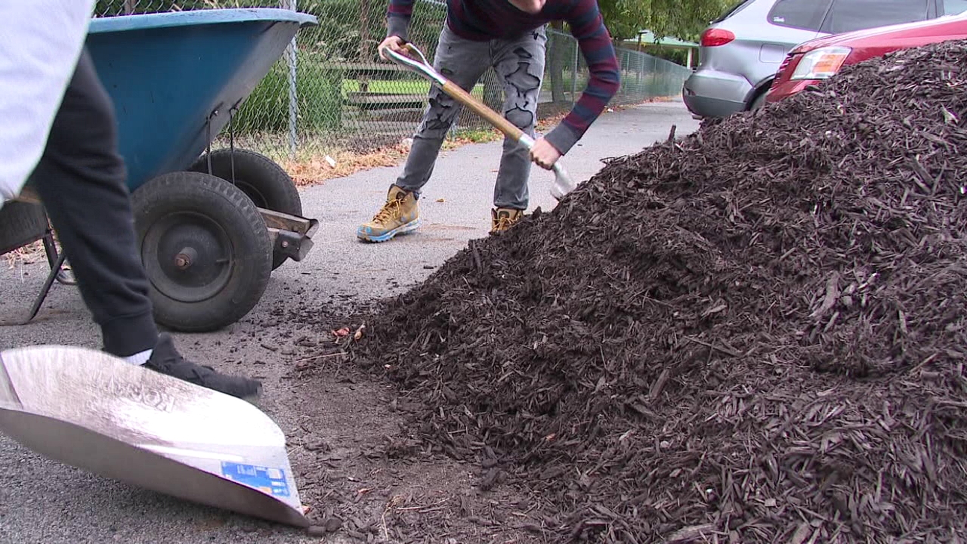 The streets of Wilkes-Barre are a little cleaner as kids involved in the Juvenile Probation system got their hands dirty.