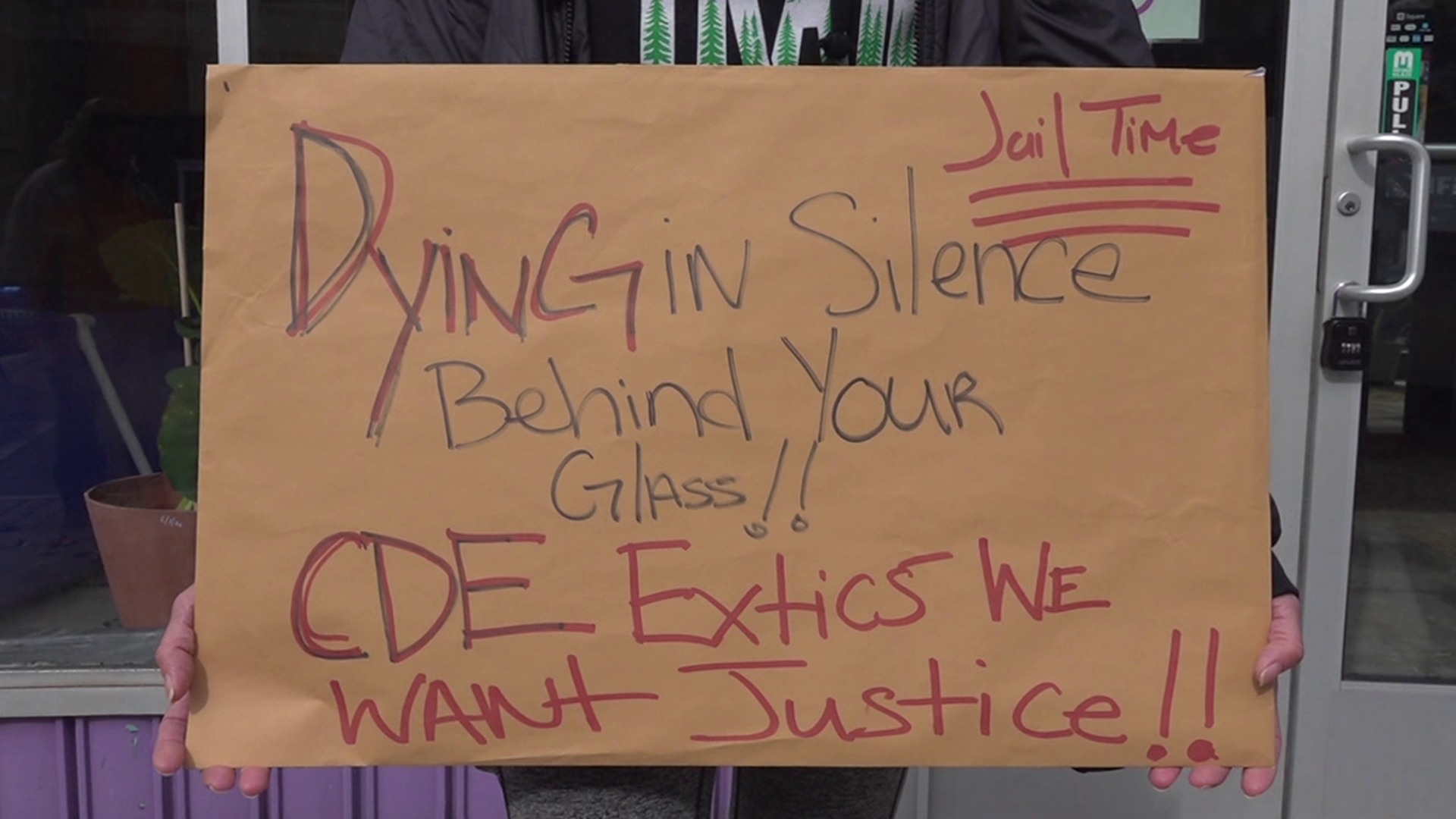 Protest held in Wilkes-Barre following business owner's animal abuse charges