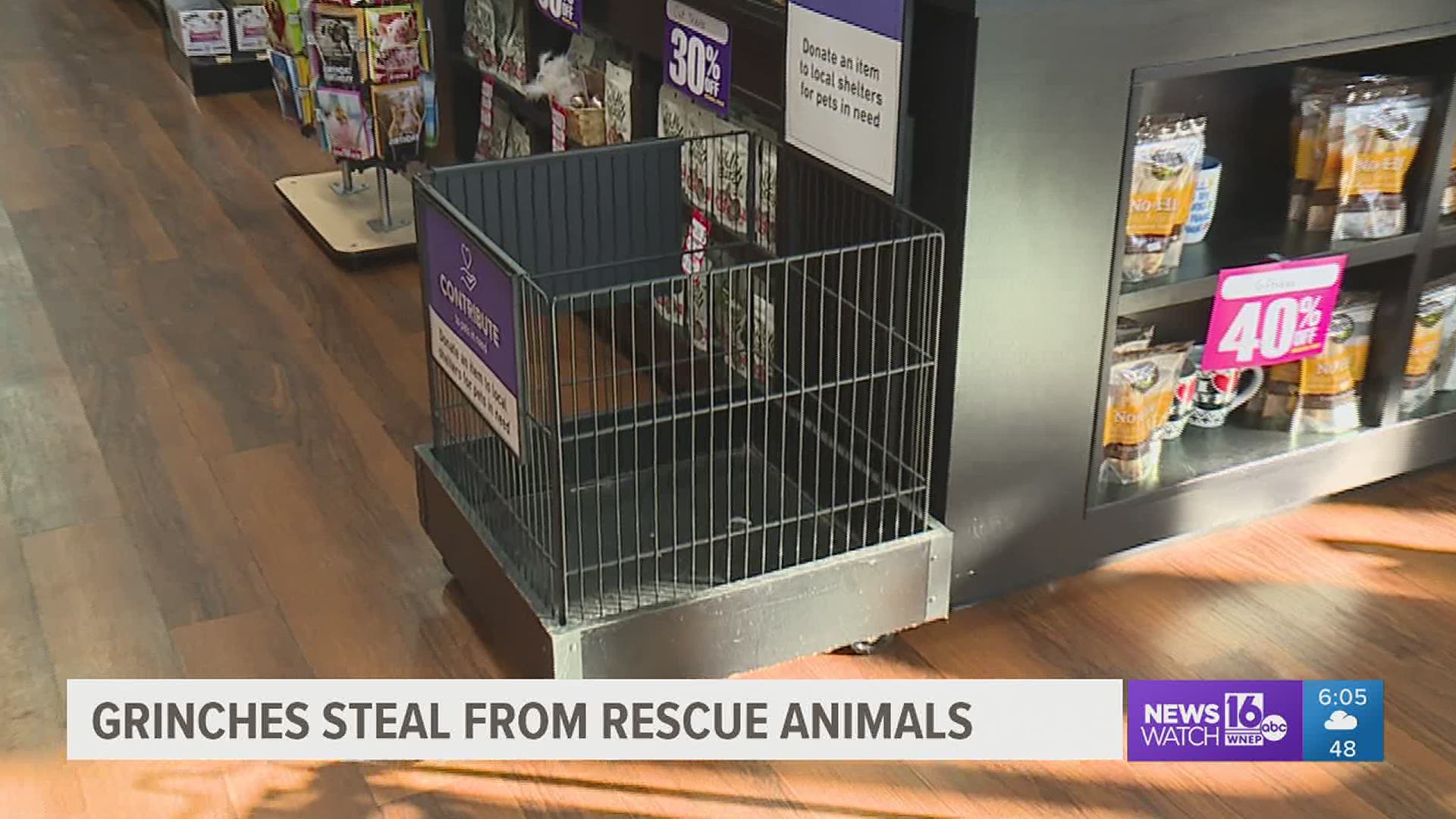 Who would steal from rescue pets? That's what volunteers are asking after contributions for their nonprofit disappeared from a donation bin inside a store.