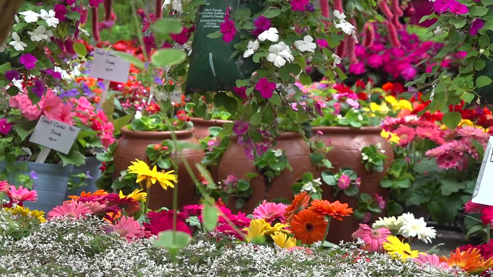 Farmers in Luzerne County are expecting a bit of a break in rainy weather and have some tips for people who are anxious to get outside and into their gardens.
