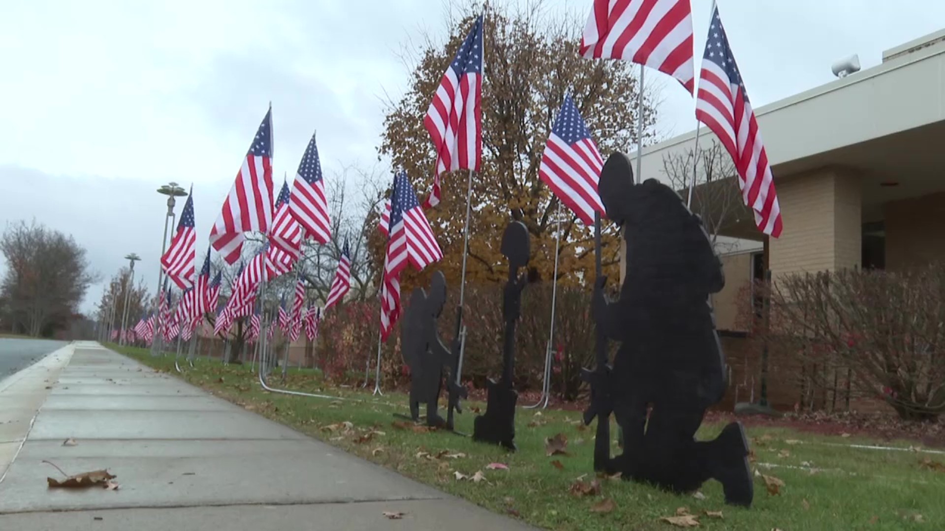 Veterans Day looks a little different in Wayne and Pike Counties for people honoring those who served our country.