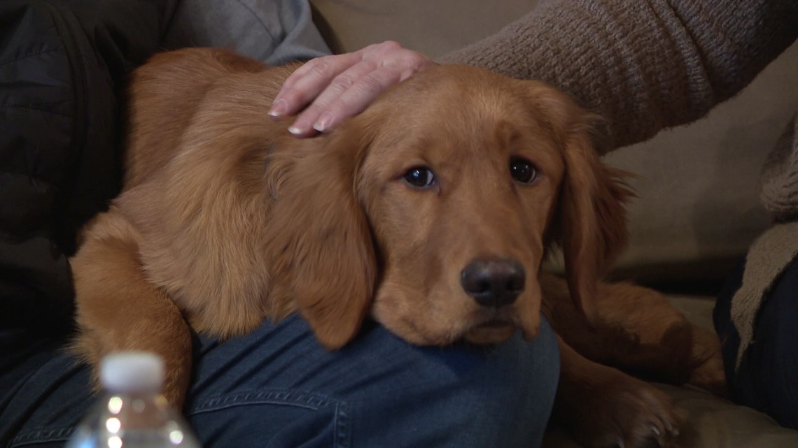 High School Football Scores(00)