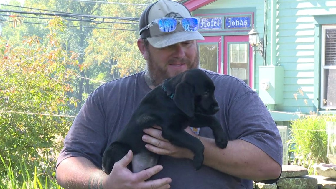 Veterans receive support puppies from non-profit