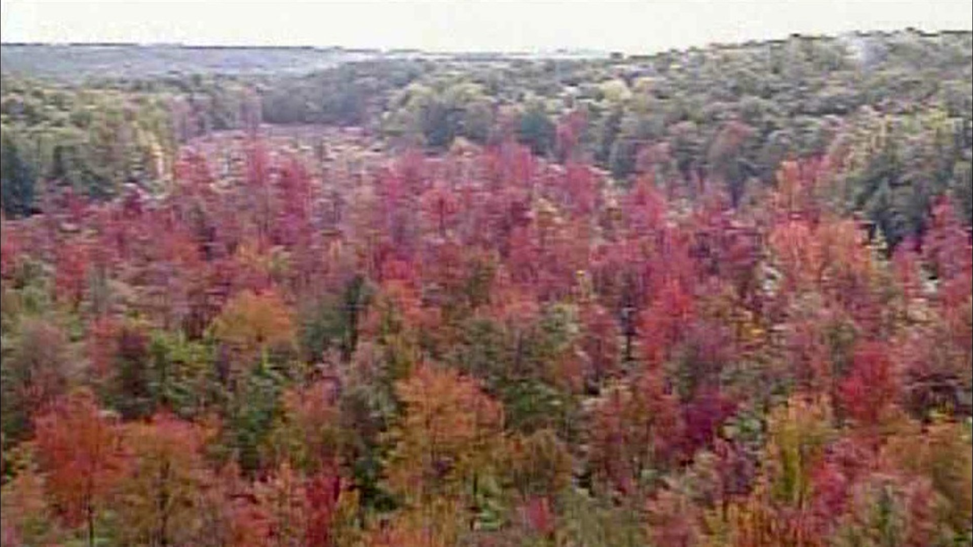 Autumn Over The Pennsylvania Road