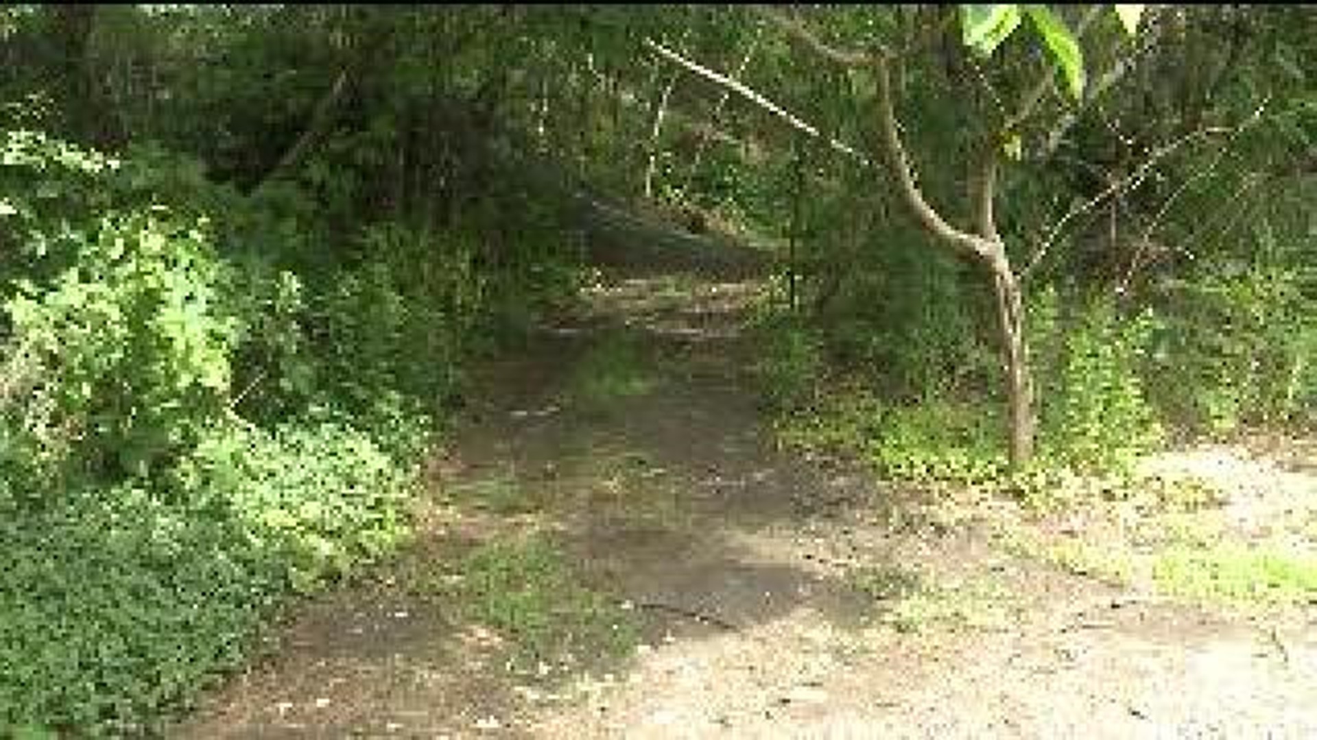 Teen Shot While Riding Dirt Bike in Wooded Area