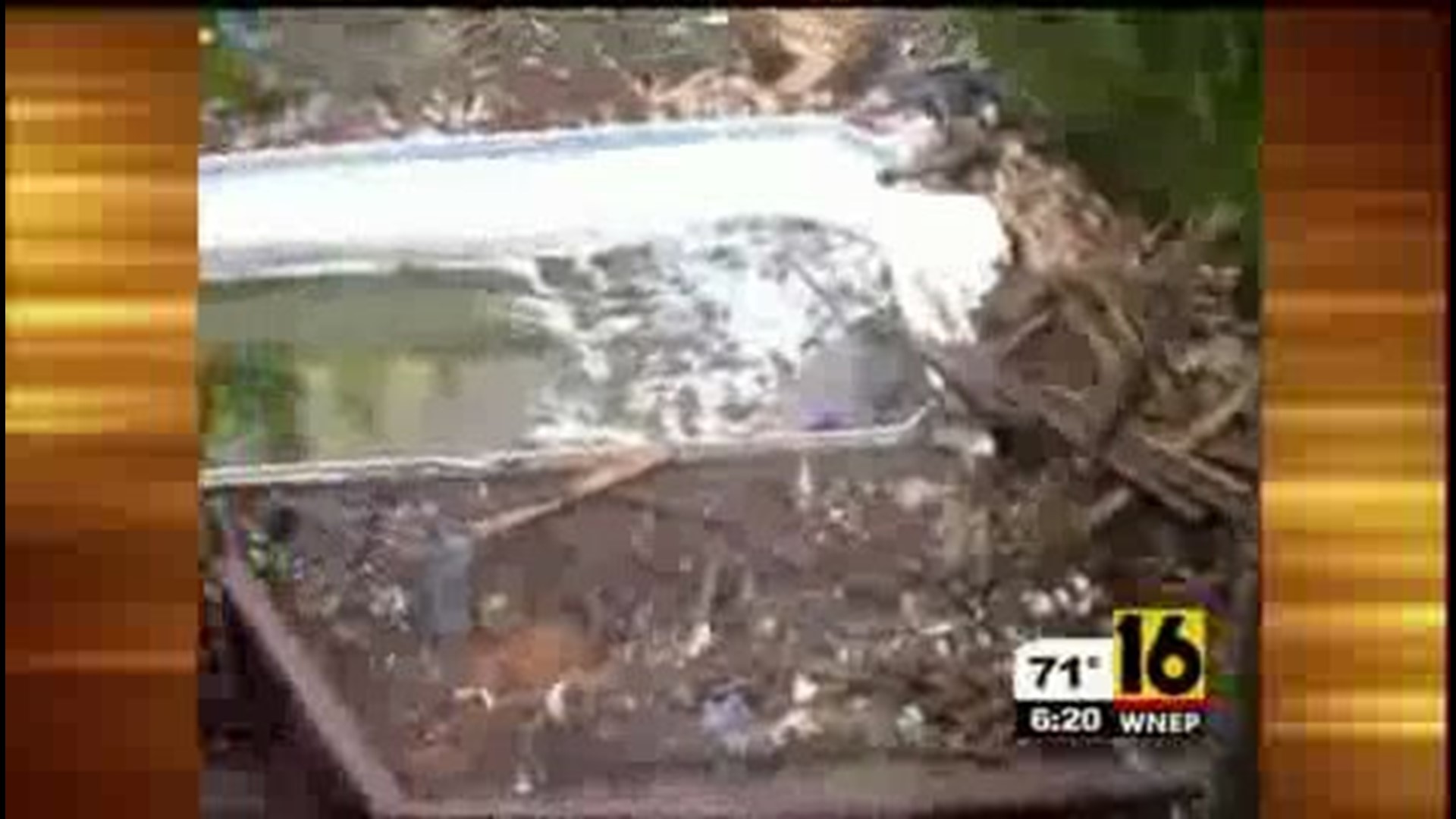 Woman Finds Trash in Backyard of New Home