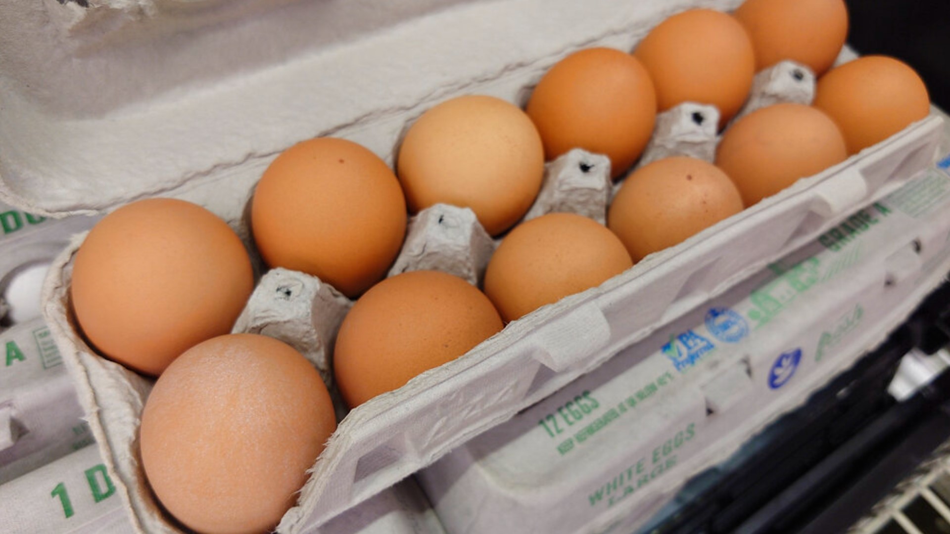 The price increase has also led to many people cutting back or even eliminating eggs from their grocery cart. Newswatch 16's Nikki Krize explains what's happening.