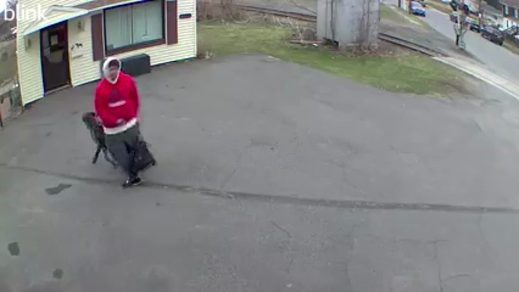 Dog left tied to fence in Lackawanna County