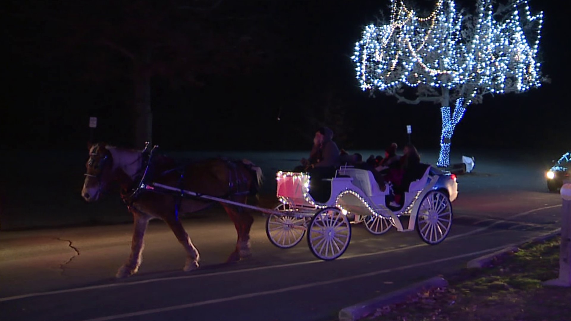The carriage rides are available now through December 23 in Scranton.