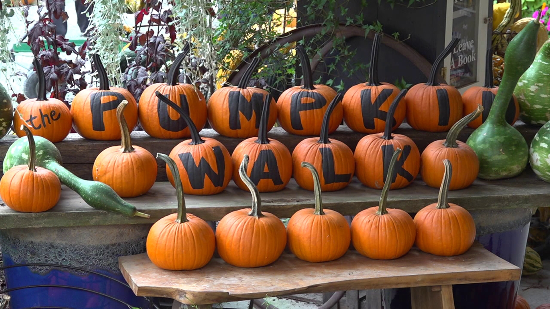 Creekside Gardens Pumpkin Walk returns