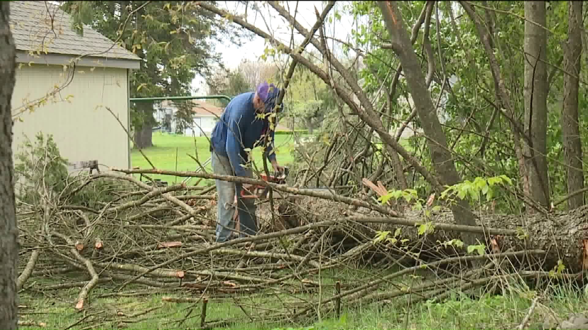 Heavy Winds Topple Trees, Damage Homes