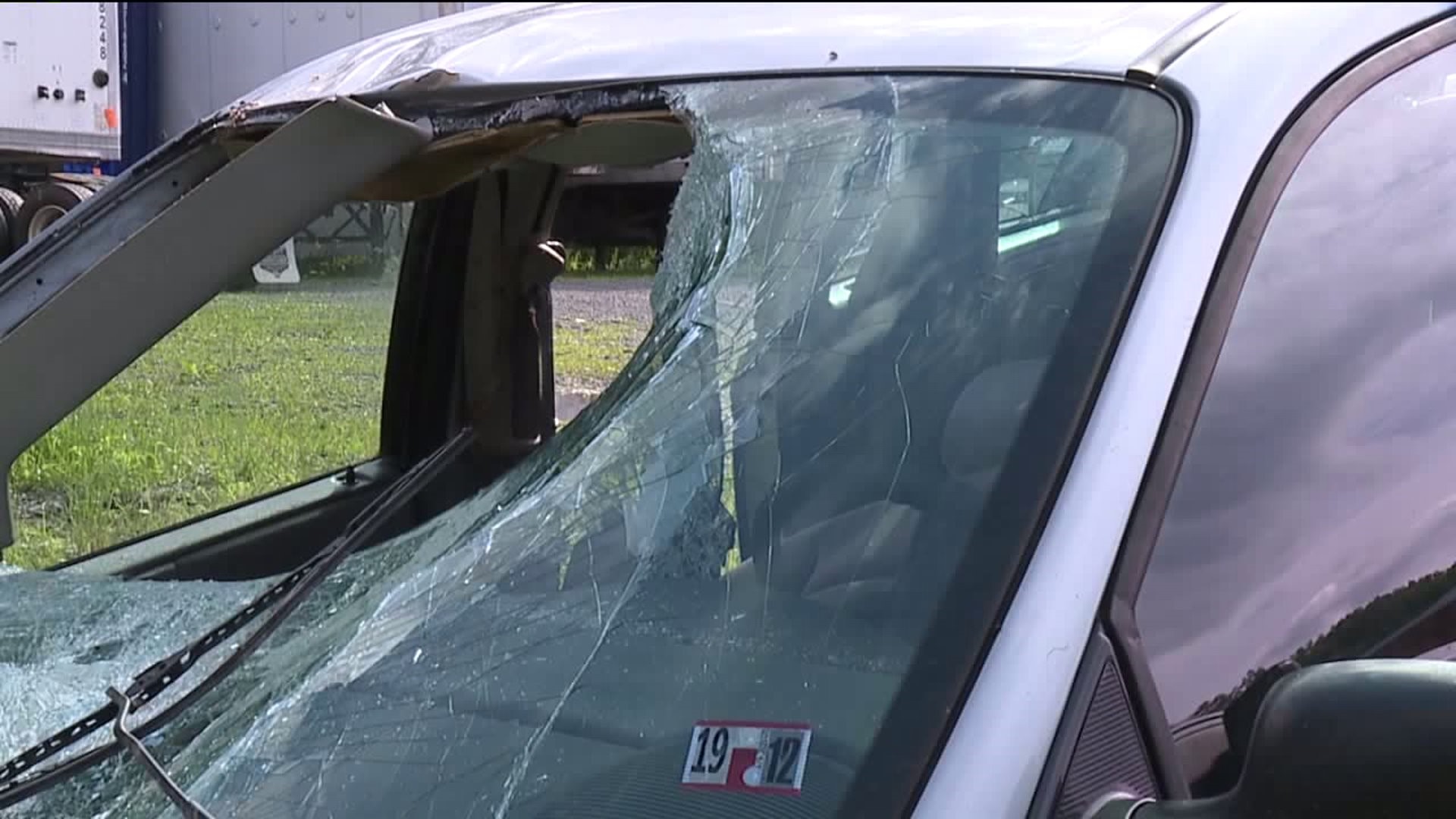 Shock, Sadness Over Tragic `Freak Accident` After Deer Smashes Through Windshield