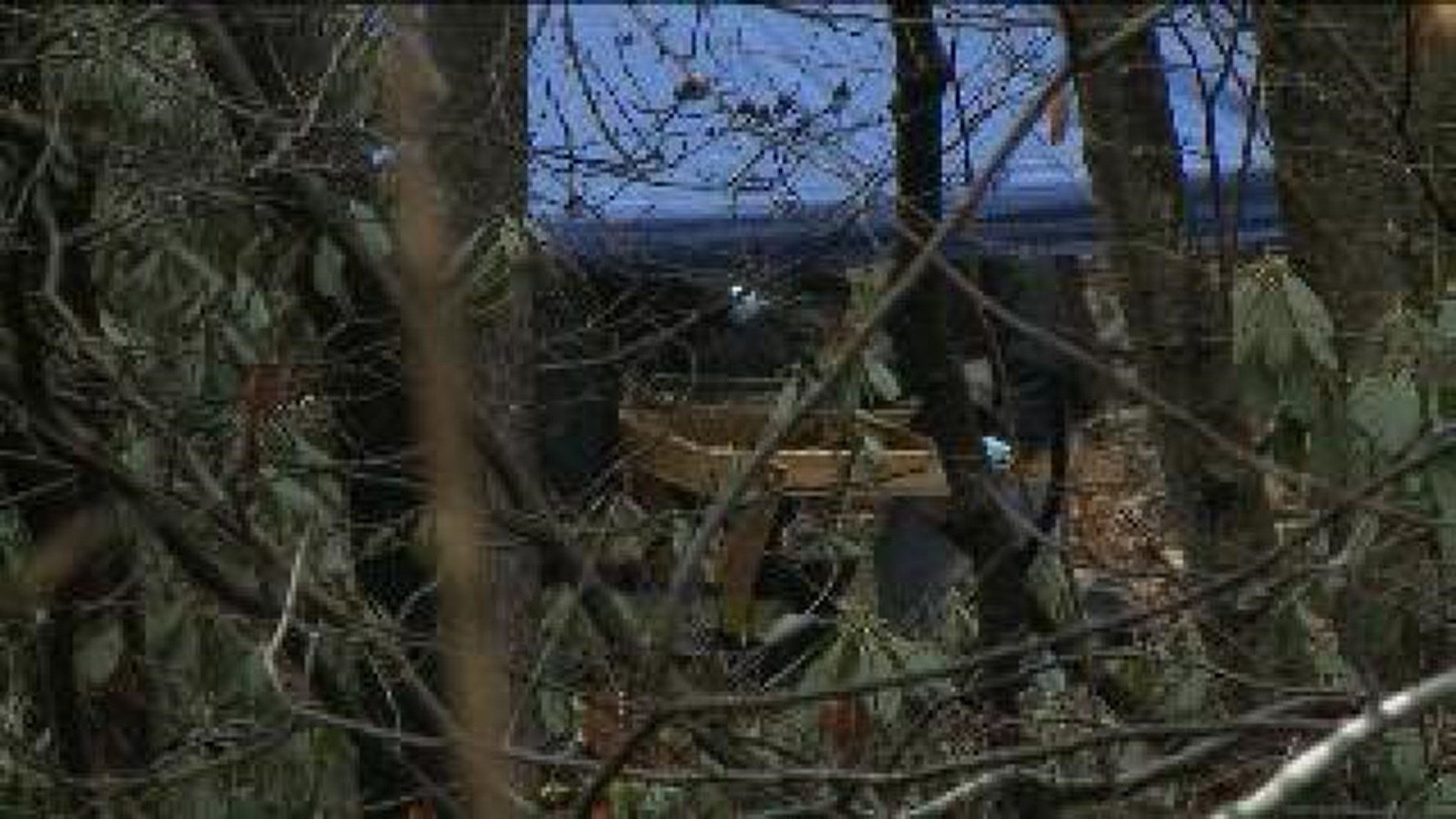 Hikers Find Human Remains In Schuylkill County