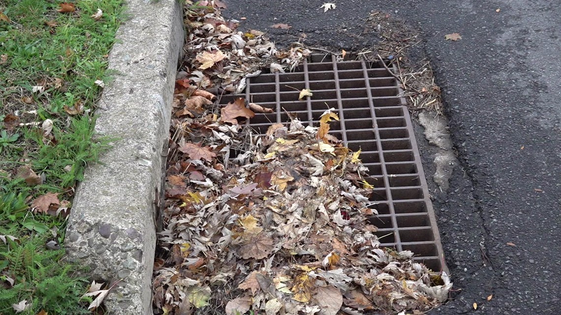 Leaves clogging storm drains, causing drainage issues