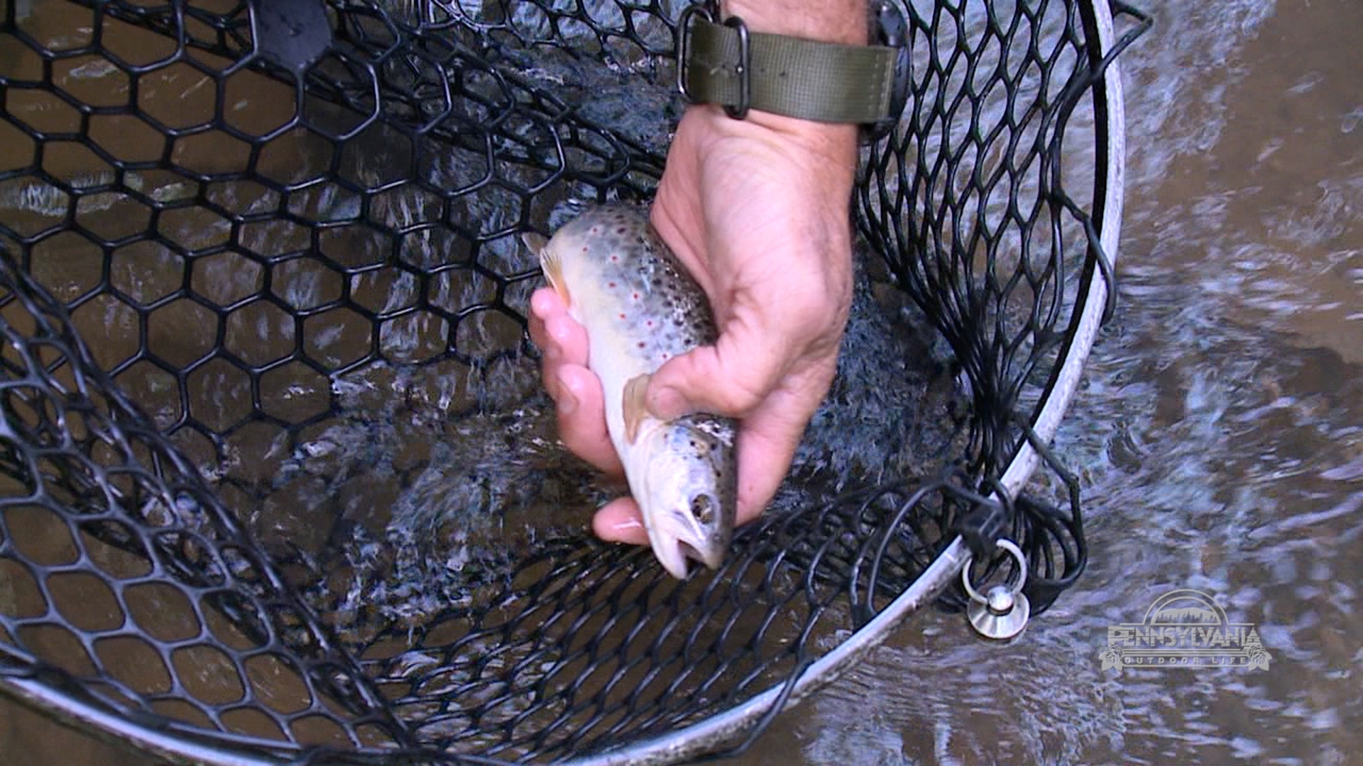 Ricky Long sure knows how to catch trout on his hand made spinners.