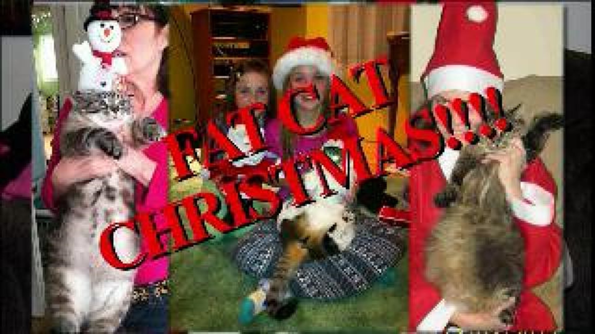 Joe Snedeker's "Fat Cat Christmas" Music Video