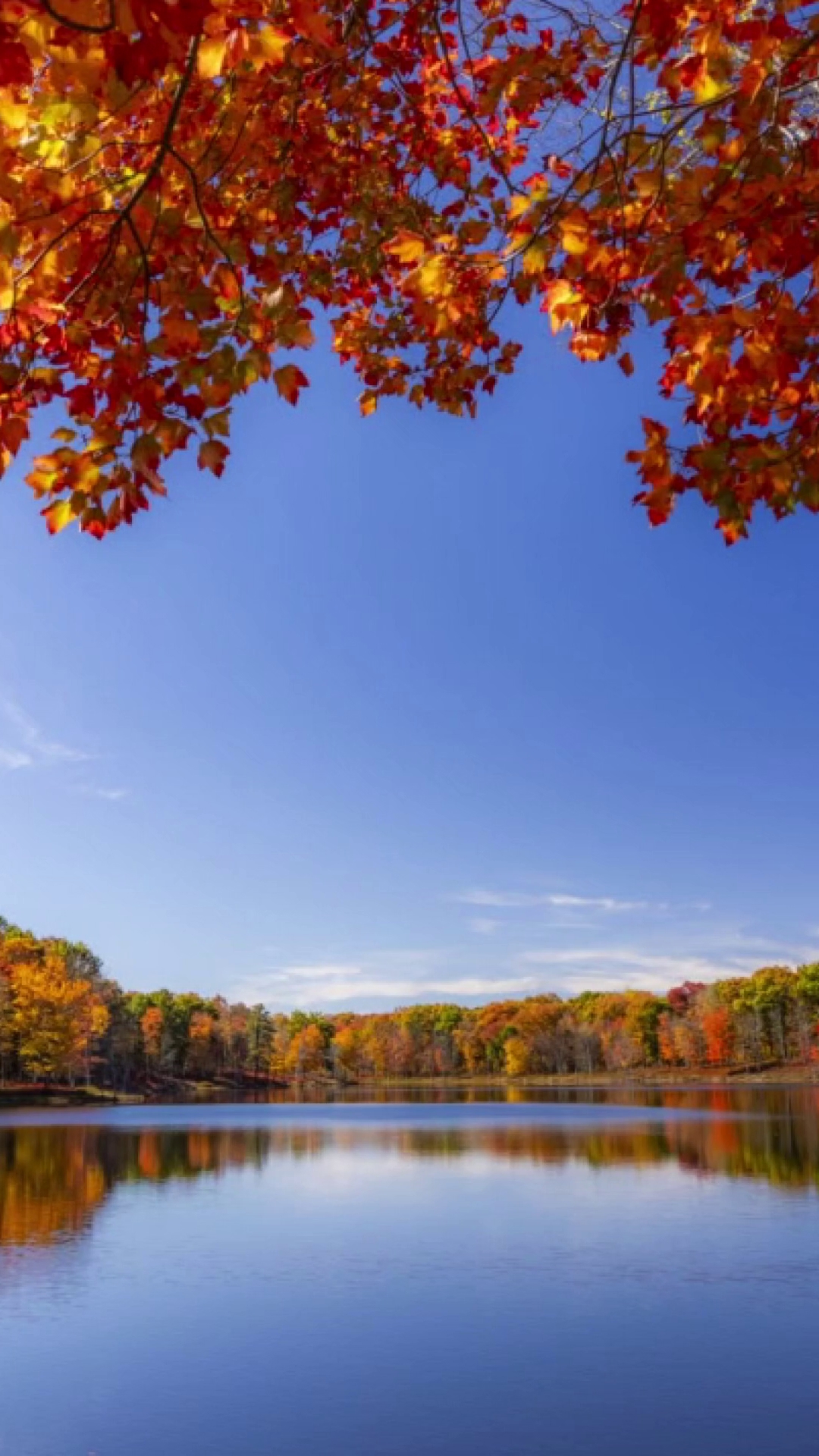 Fall Photo With Auto Sounds of Fall | Photolink Library | wnep.com