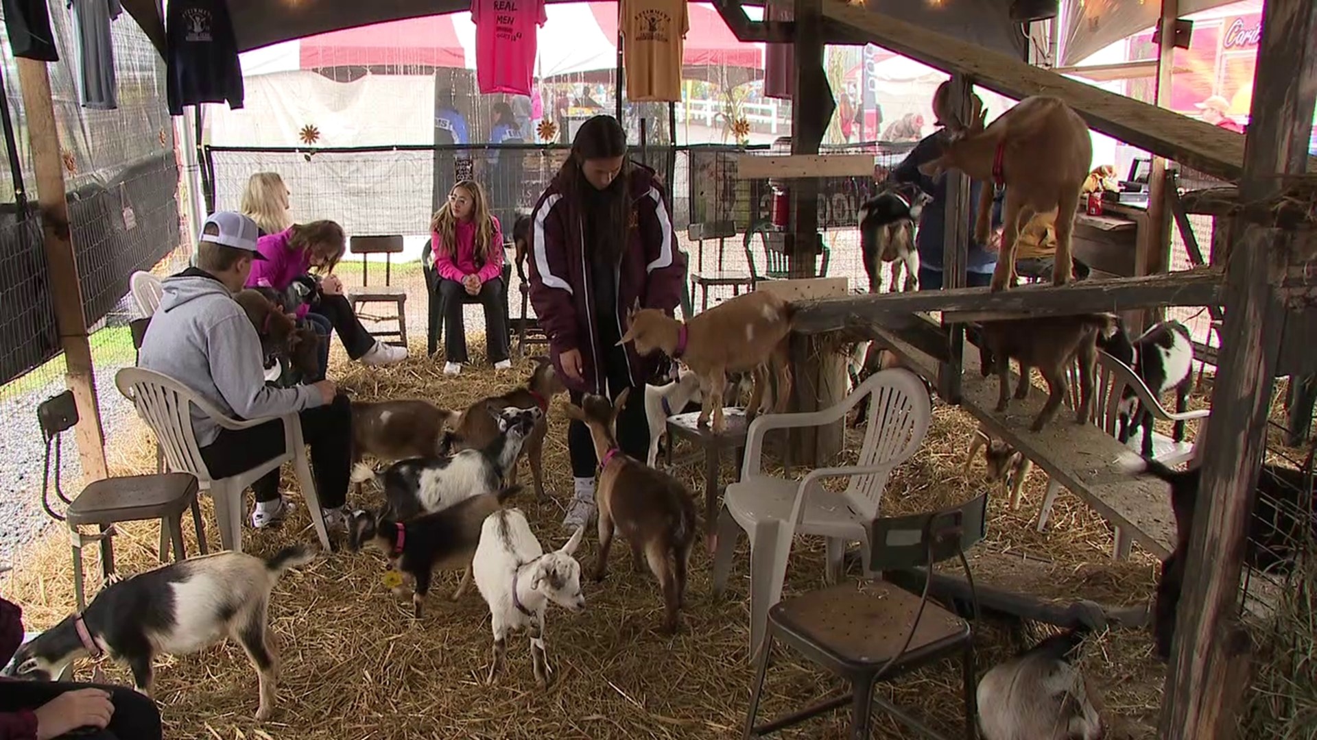 Bloomsburg Fair Dates 2024 Texas Tracy Harriett