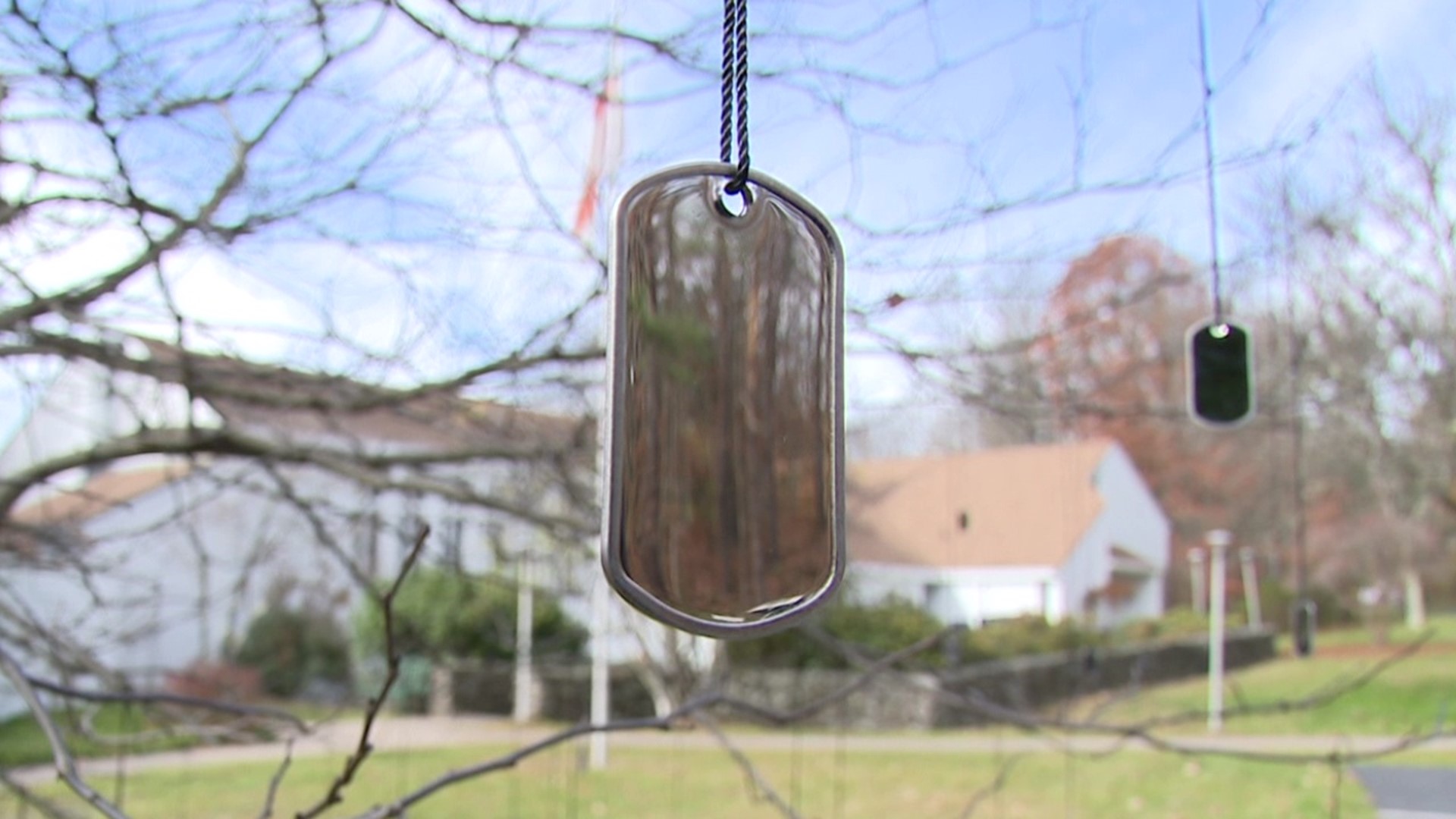 The 'Witting Tree' outside the Church of the Epiphany bears new dog tags each day, as a reminder of the number of veterans lost to suicide every day.