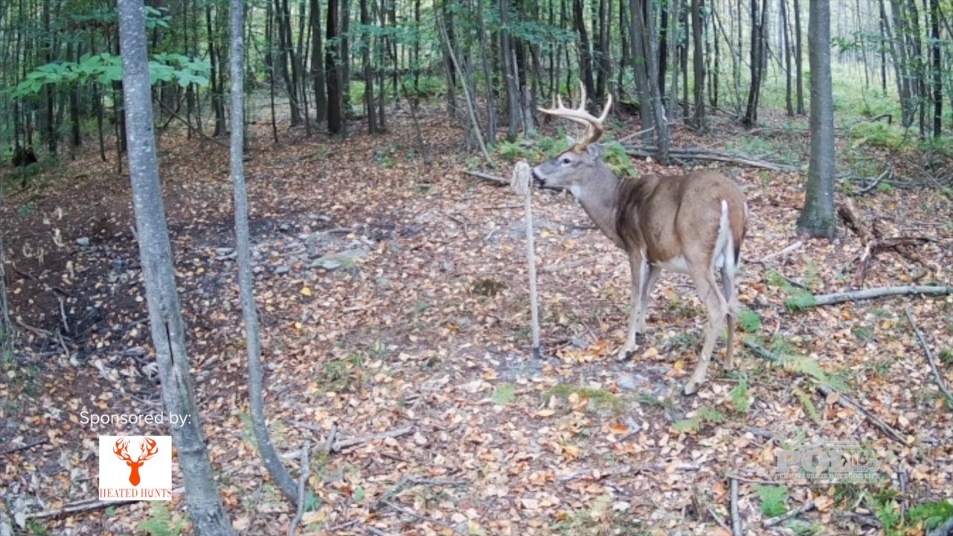 The owner off Heated Hunts has done it again. He invented yet another product for attracting deer.