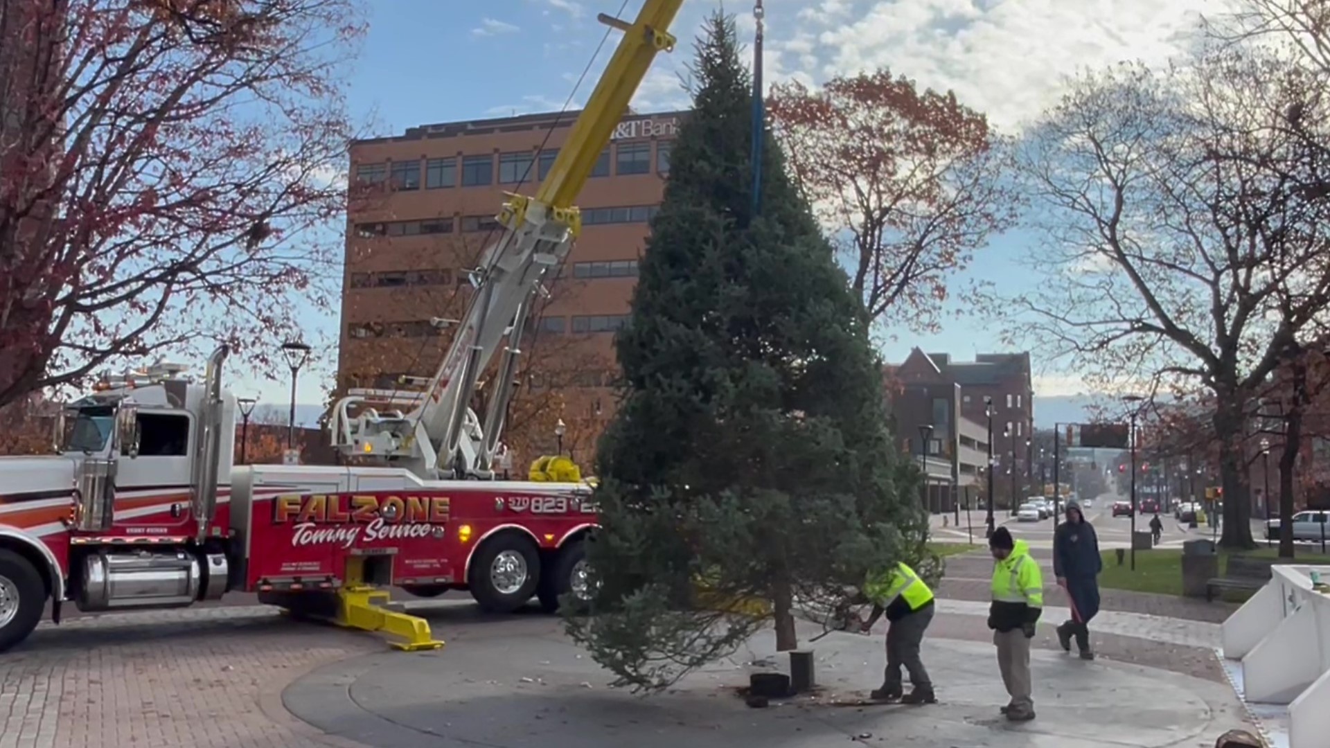 The city's Christmas tree went up Monday morning on Wilkes-Barre's Public Square.