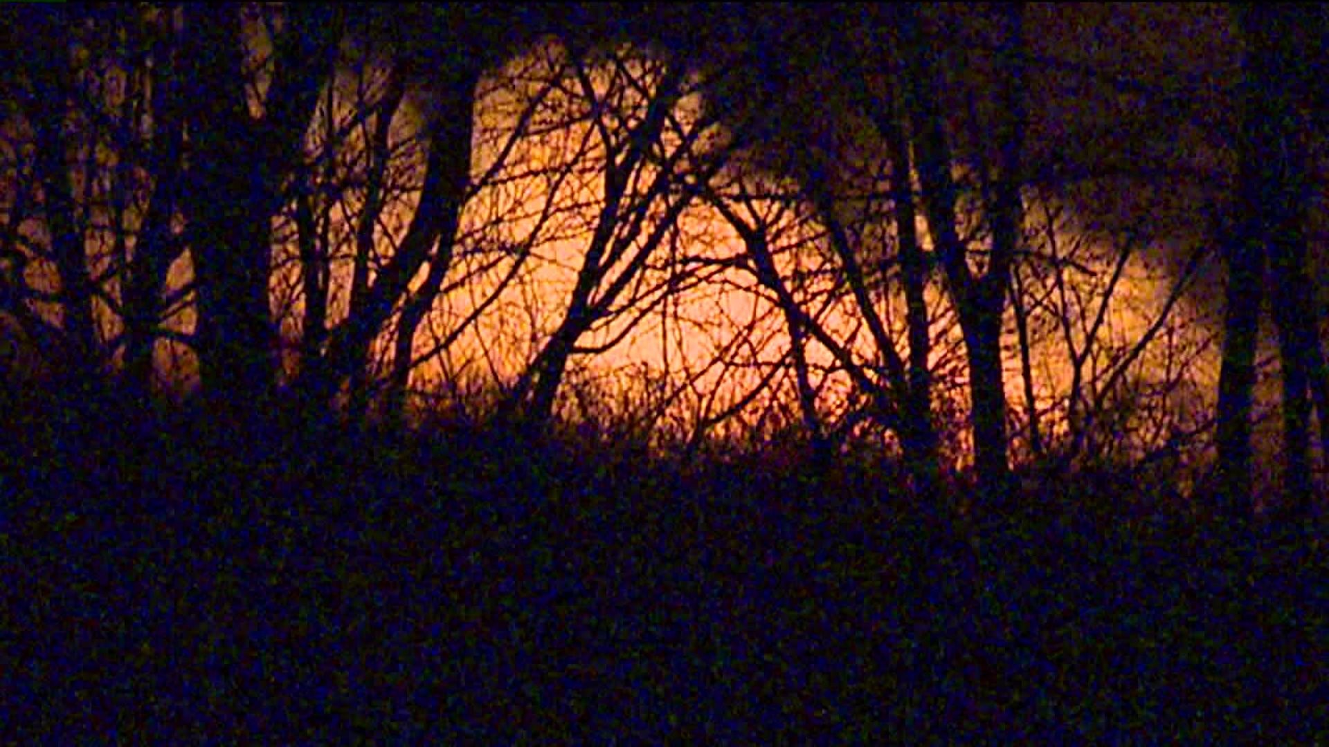 Crews Battle Brush Fires Overnight in Luzerne County