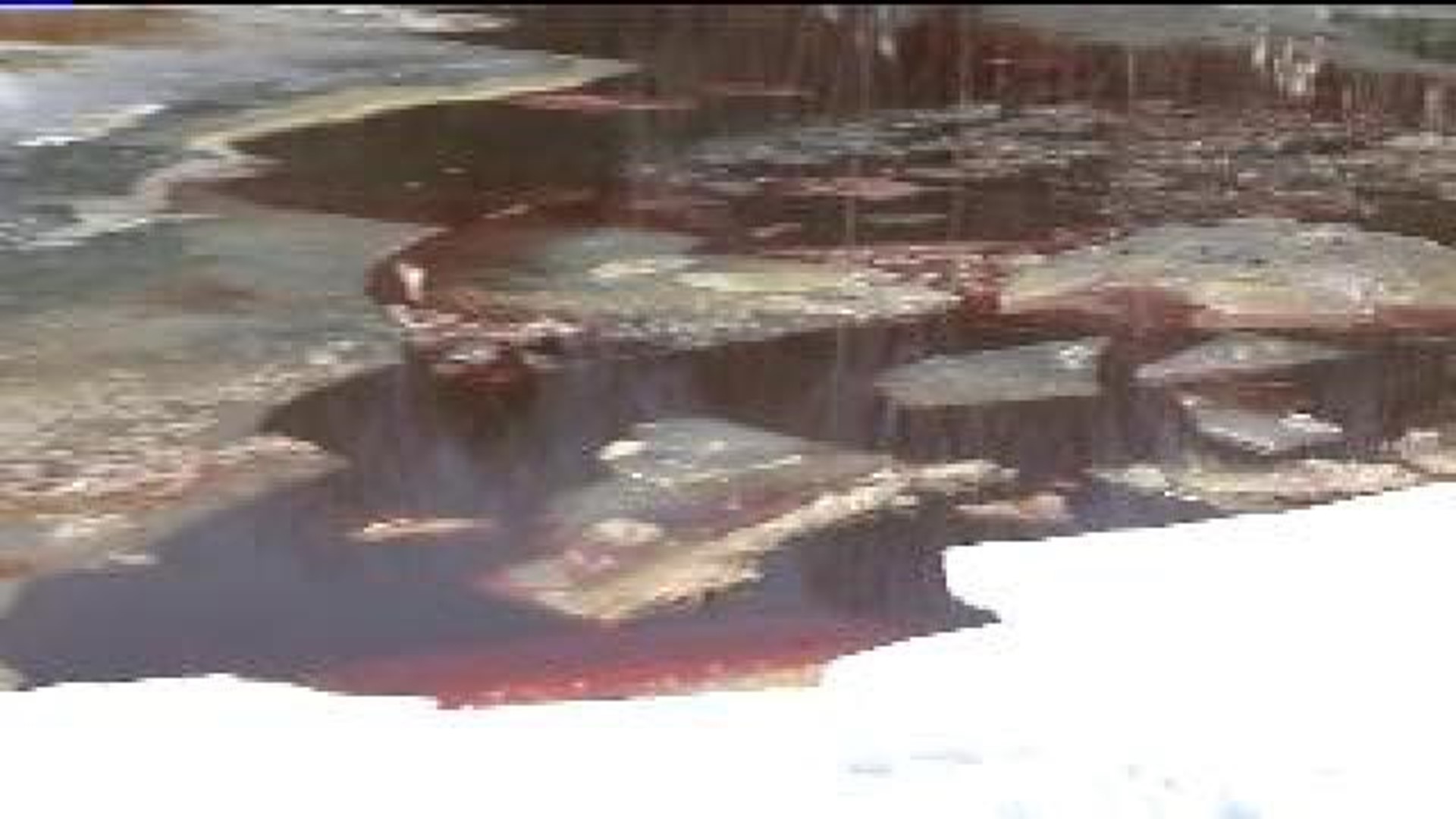 Investigation into Oil Spill at Lake Continues