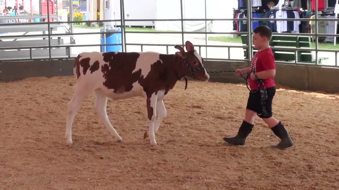 Sterling Fair 2024 Lok Lilla Patrice