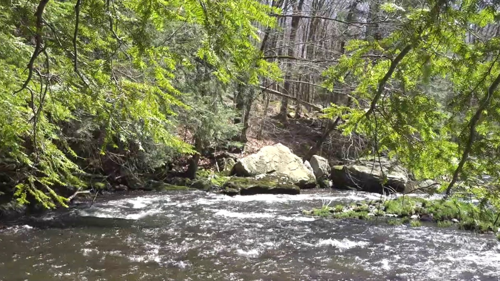 Newswatch 16's Photojournalist Bonnie Frisbie shares a bit of the beauty of the Lackawanna River in Clifford Township.