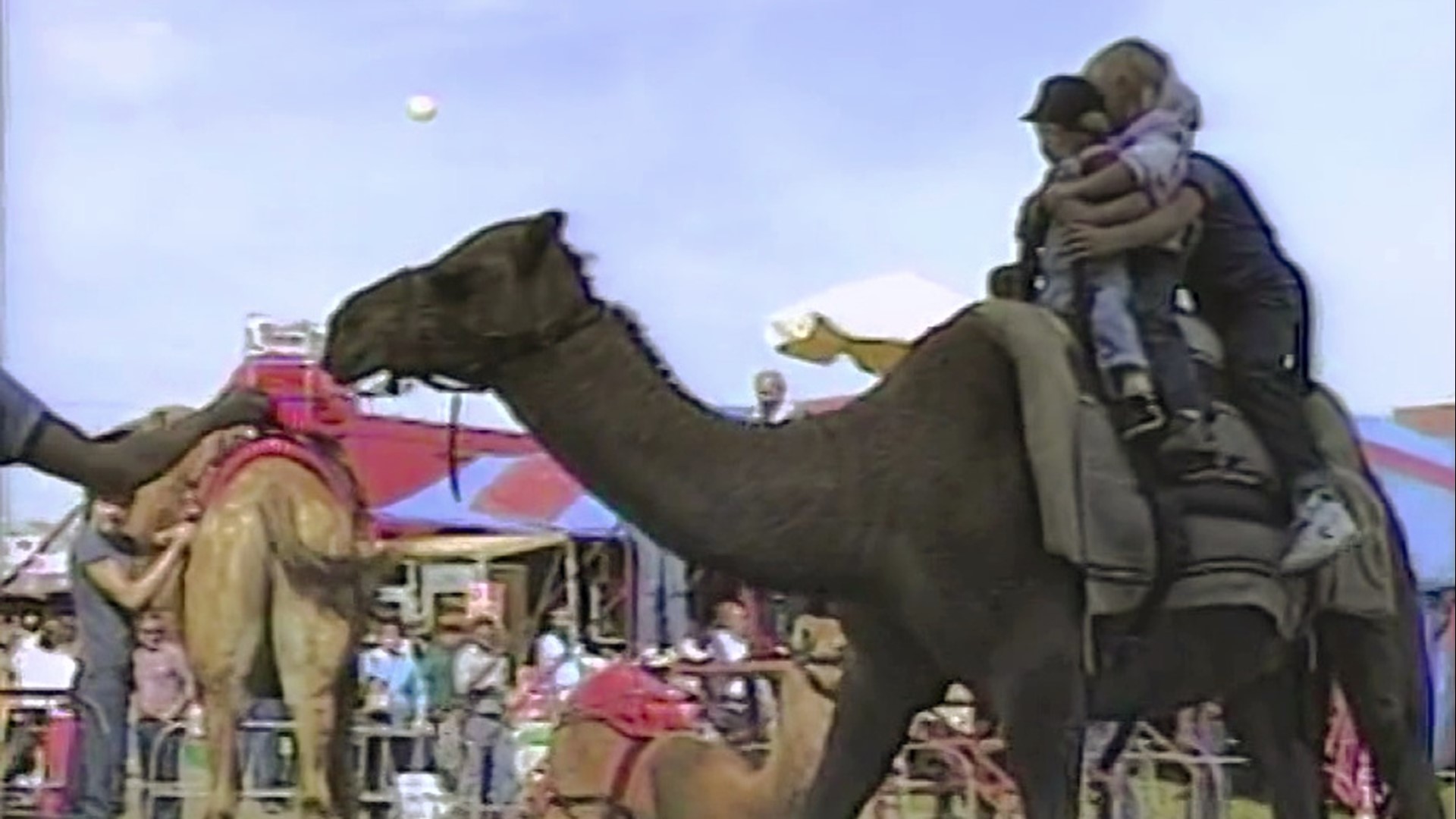 Mike Stevens found an unusual attraction at the Bloomsburg Fair in 1985.