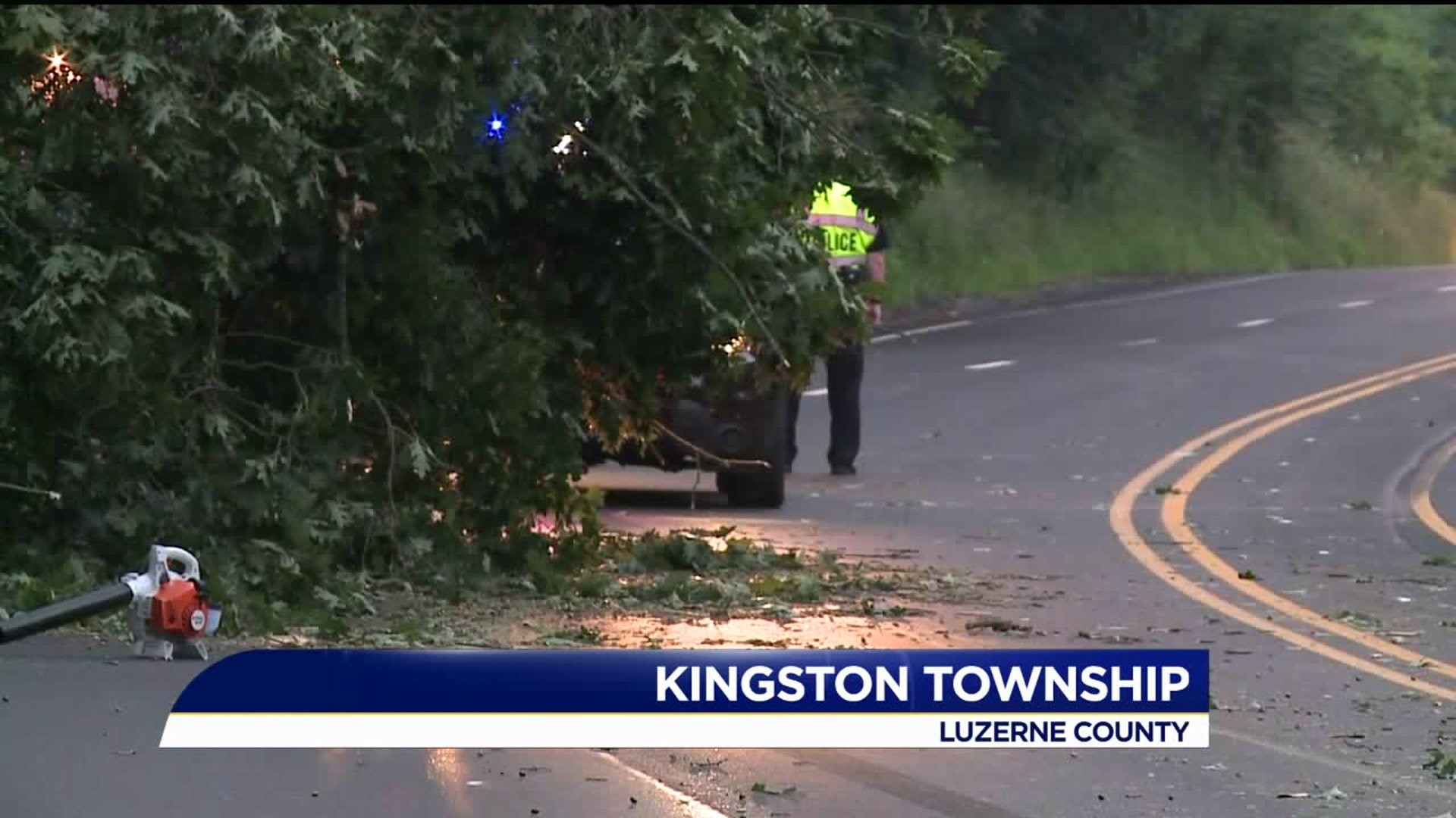 Large Tree Falls on Route 309 in Luzerne County