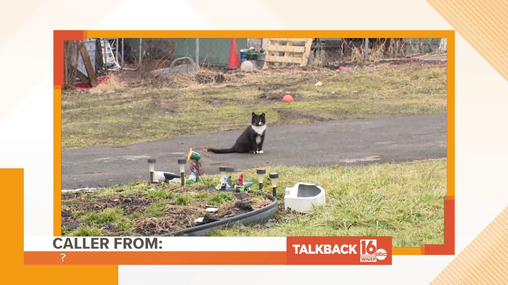 Callers are commenting on a stray cat problem in Dunmore as well as several other topics in this Talkback 16.