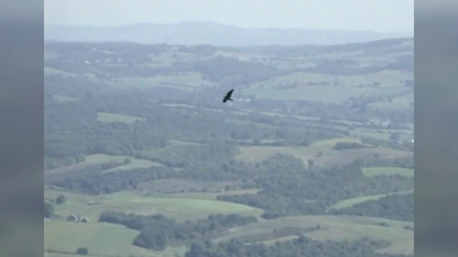 Mike Stevens takes us on a trip to Hawk Mountain in Berks and Schuylkill counties.