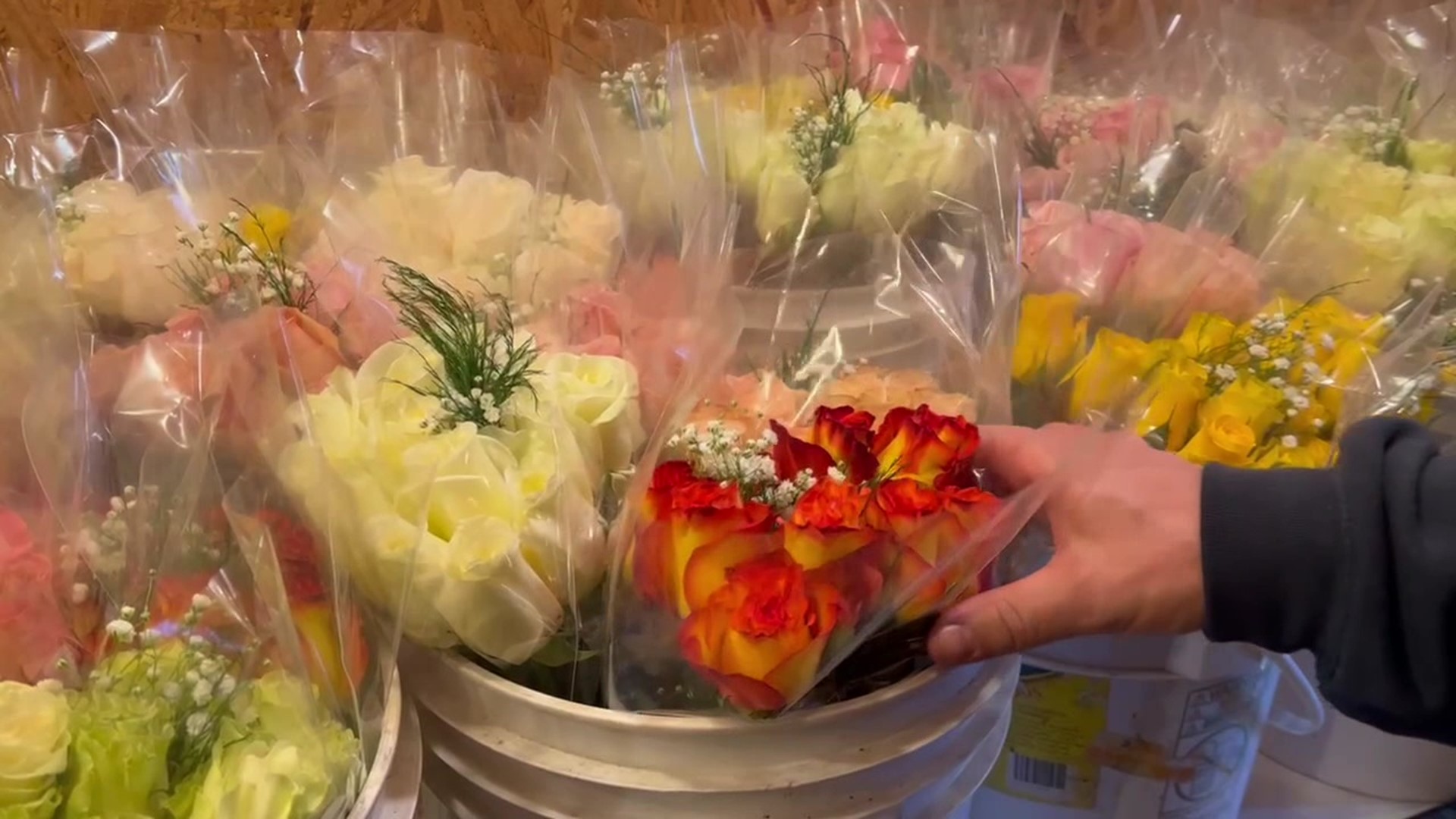 The South Williamsport Fire Department is selling roses for its annual Valentine's Day fundraiser.