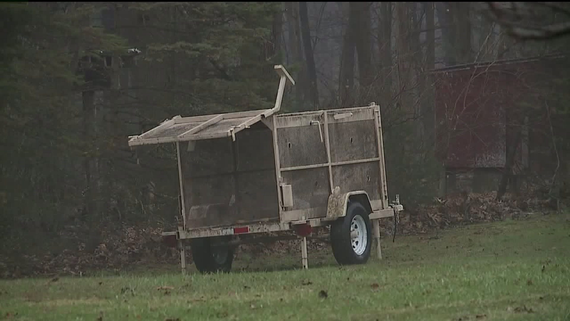 Update on Bear Attack in Lycoming County