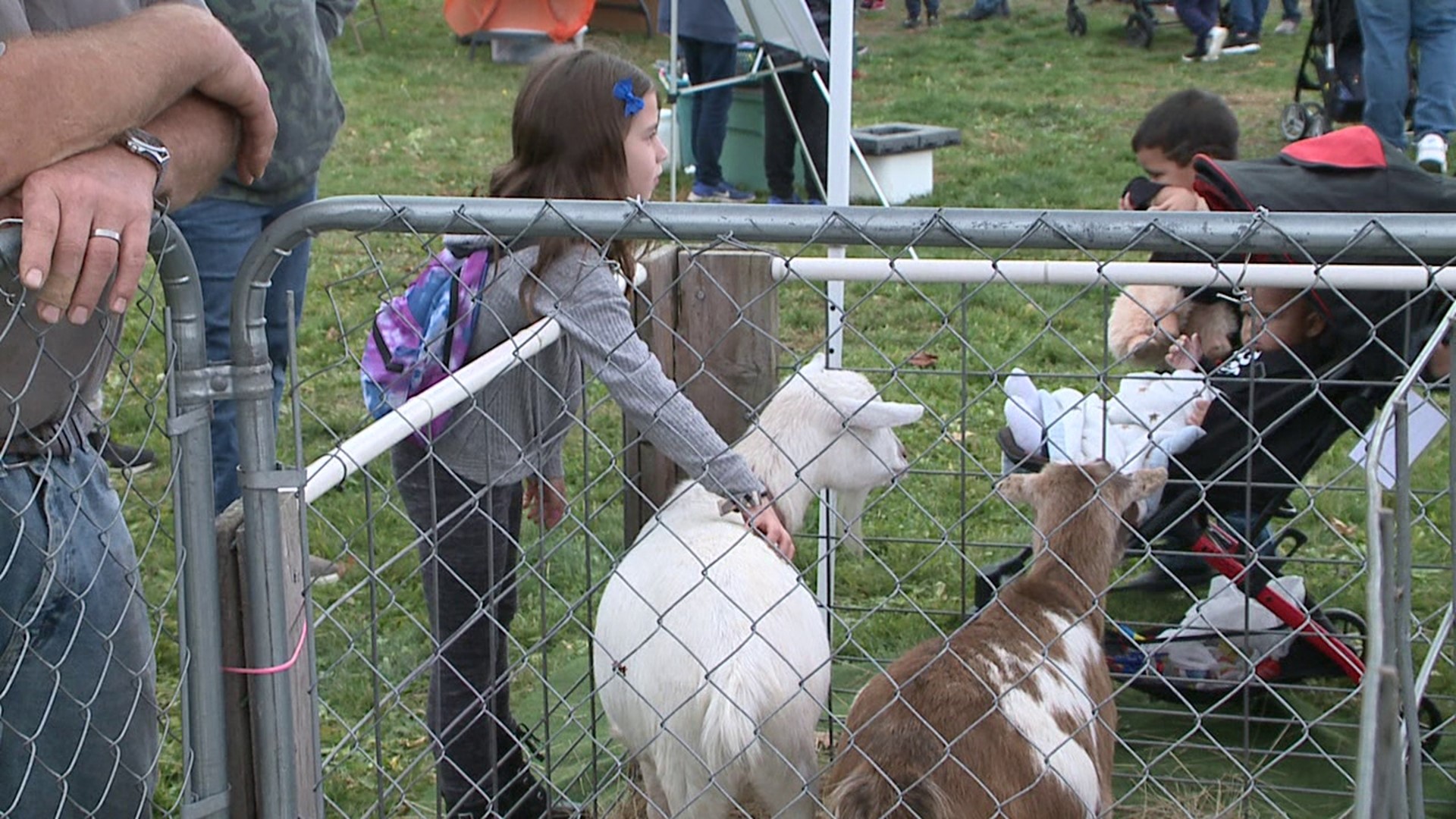 The family fun day was held along Nay Aug Avenue in the city Sunday afternoon.