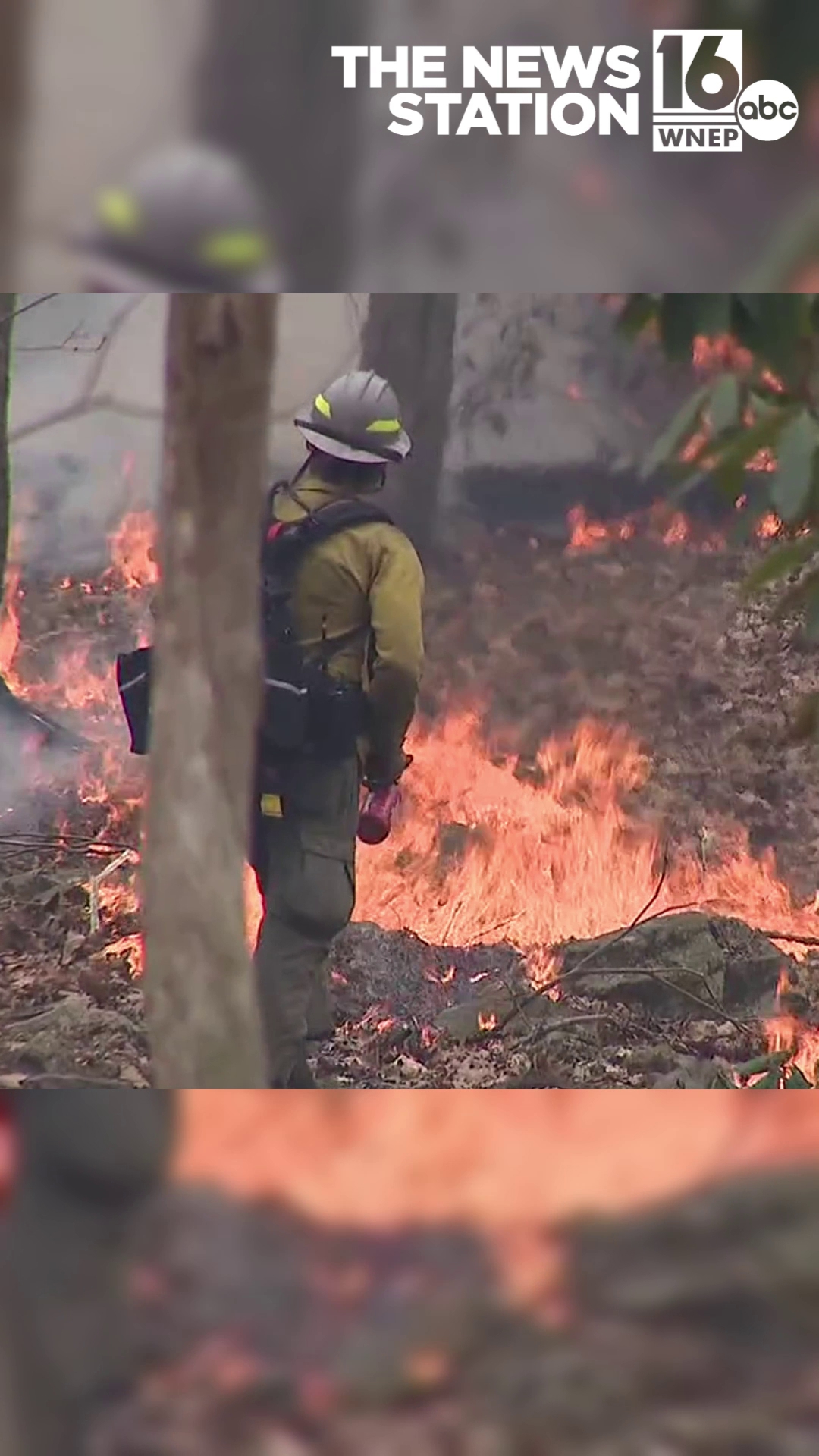 Teen charged in connection with Bear Mountain fire | wnep.com
