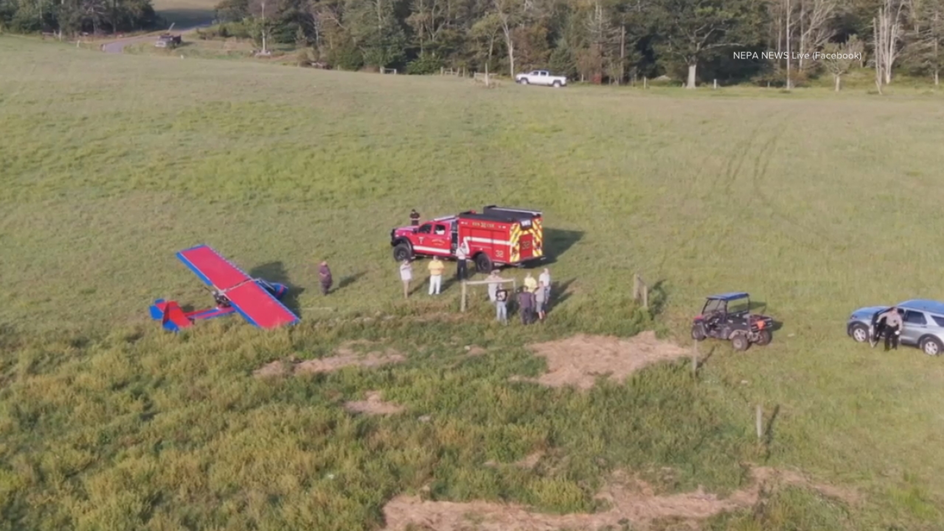 A pilot had a rough landing in a cow pasture after a mechanical issue was reported Thursday evening in Palmyra Township.