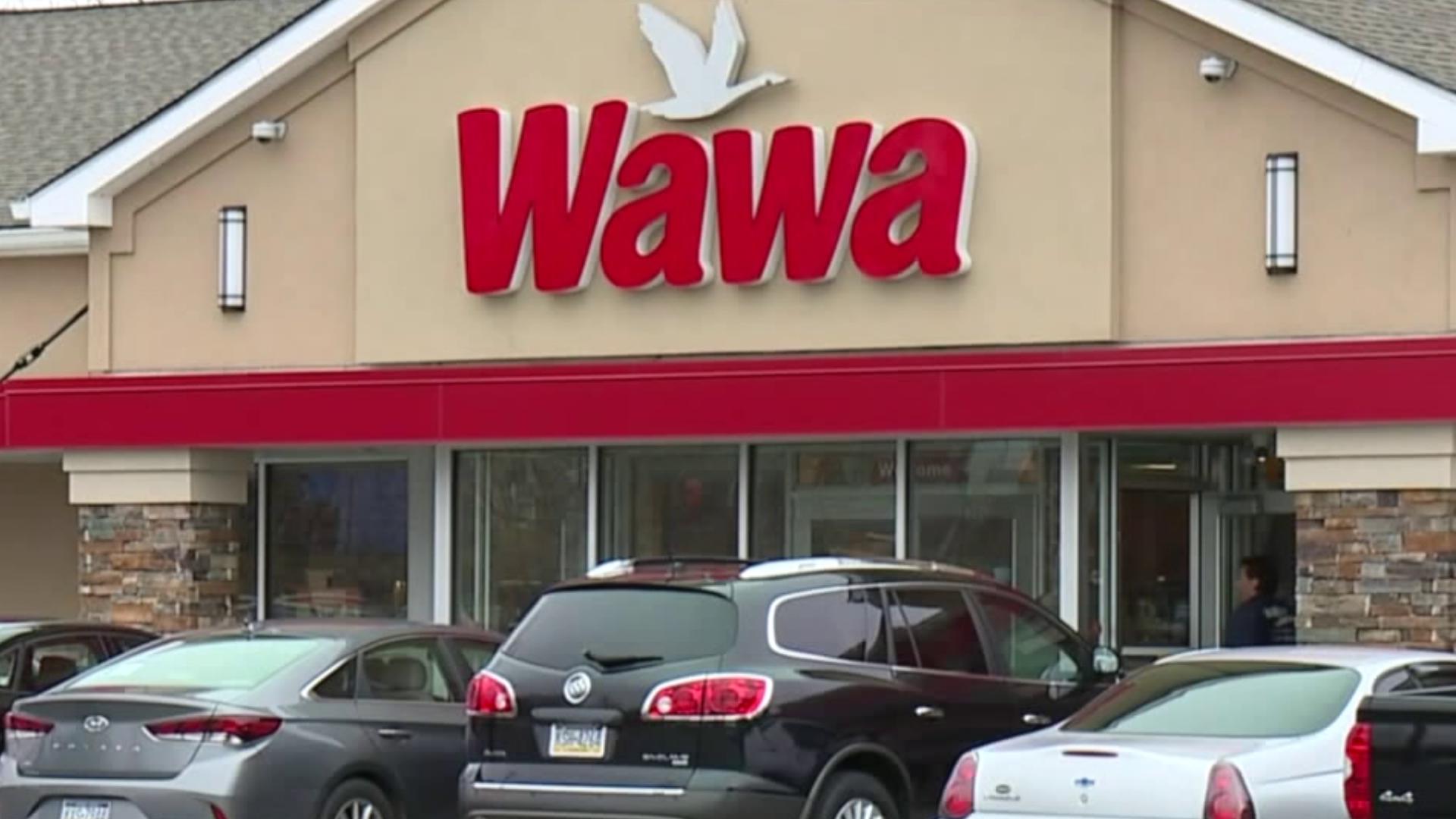 Wawa fans excited for opening of brand new store in York County | fox43.com