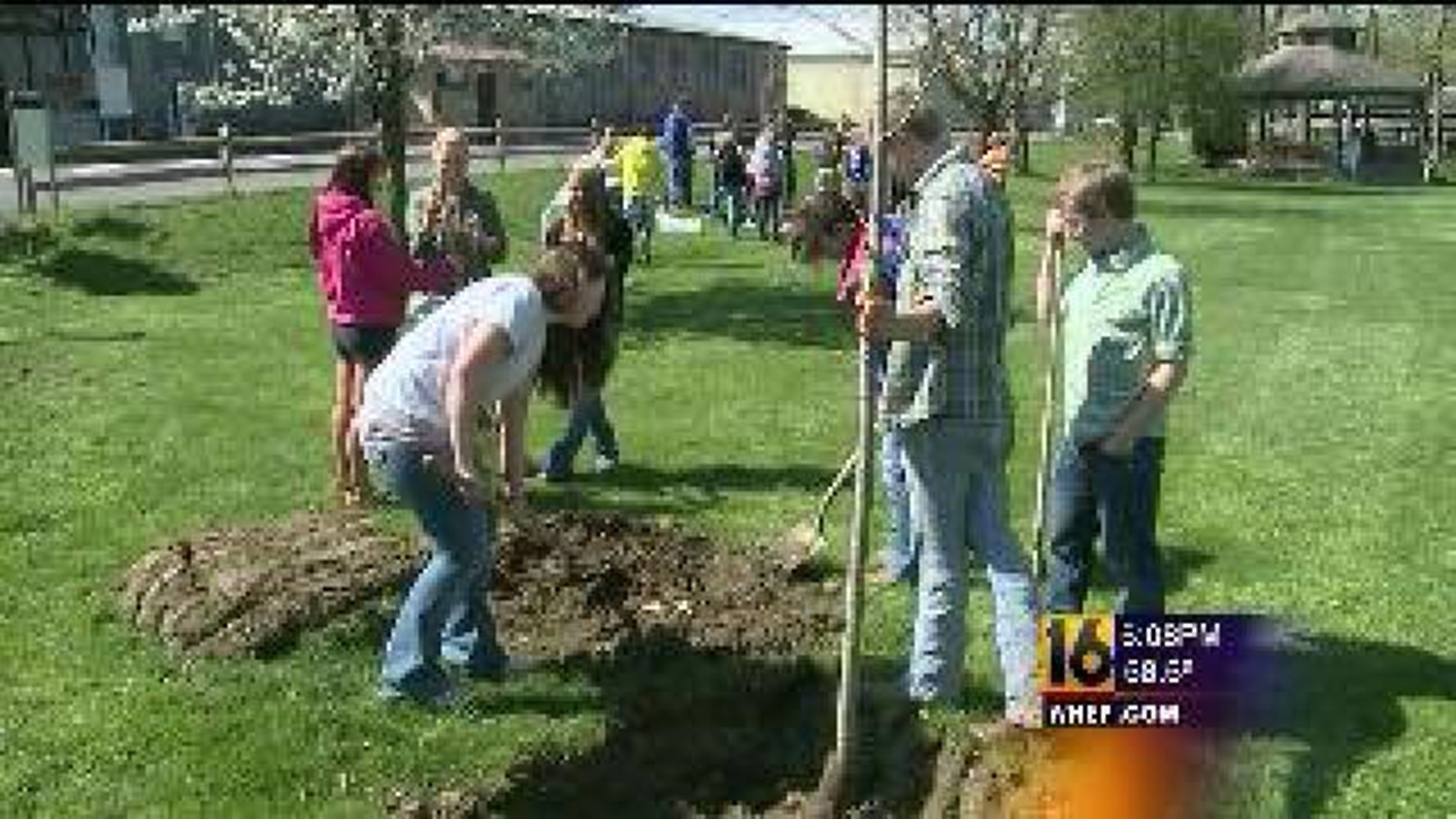 Beautifying Mifflinburg One Tree At A Time
